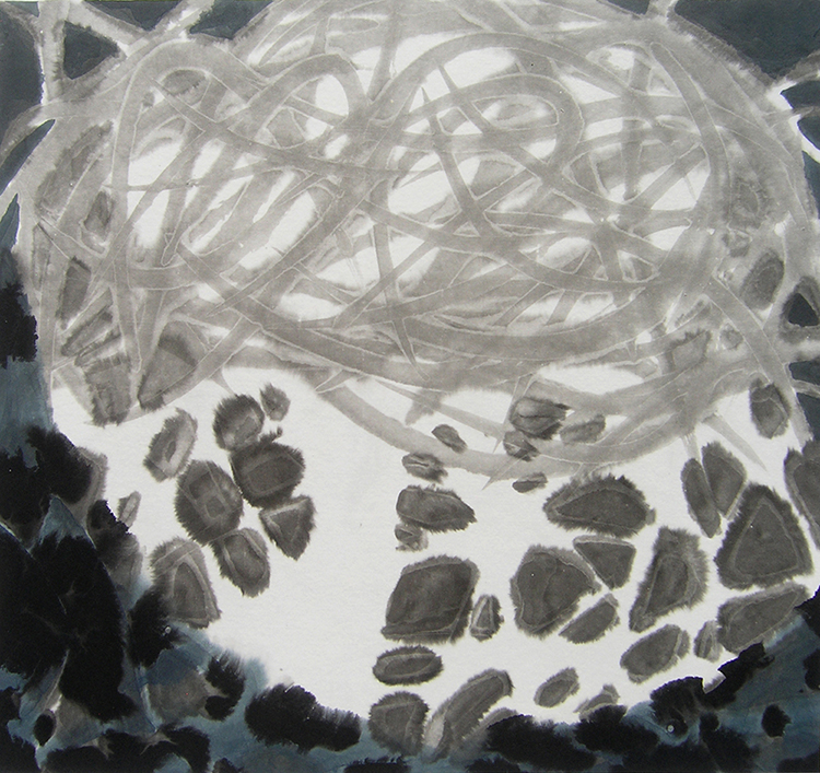 2019 tidal pool / collecting fossils from loose material, 50cmx50cm