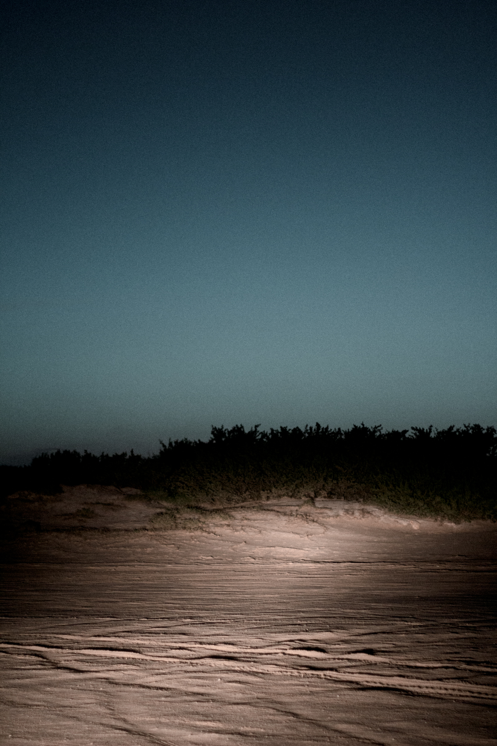 Pre-pandemic II from the journal: These days are a little weird (2020-2021)