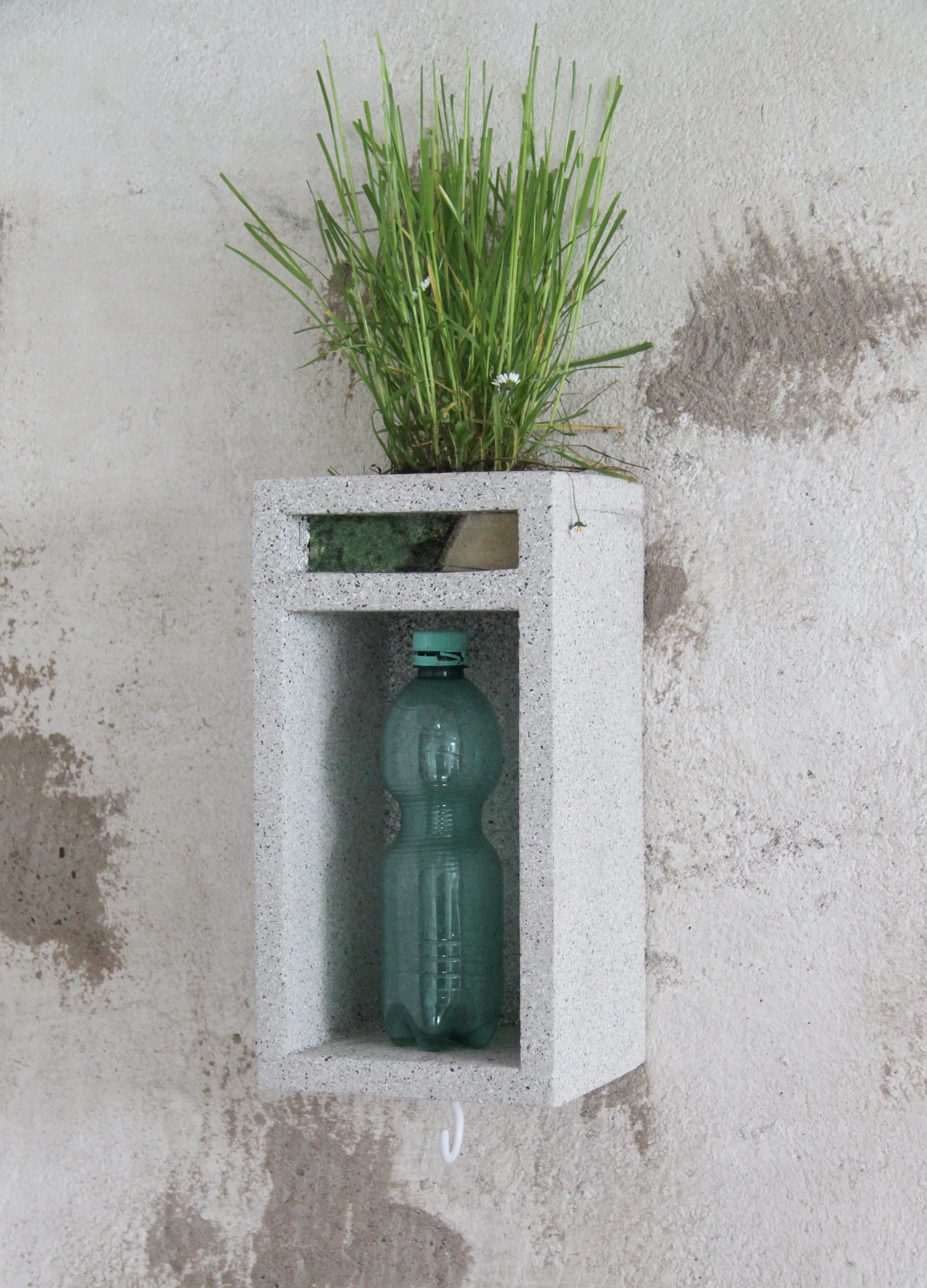 compartment for a plastic bottle and a planter #1, 2025, 40cm x 16.5cm x 14.5 cm, plastic bottle, plant, soil, wood, stone textured spray paint,image, resin 