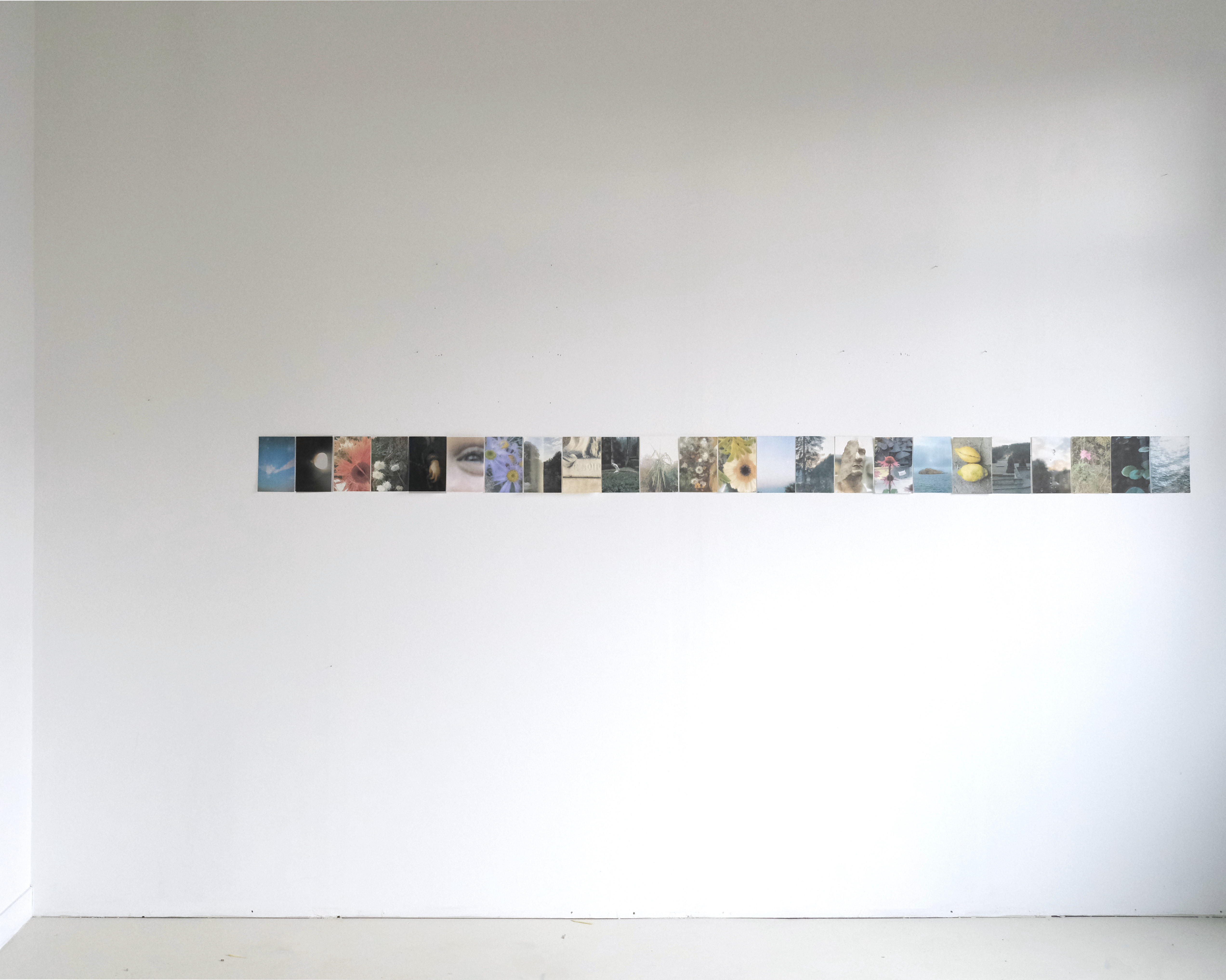 A nos émerveillements