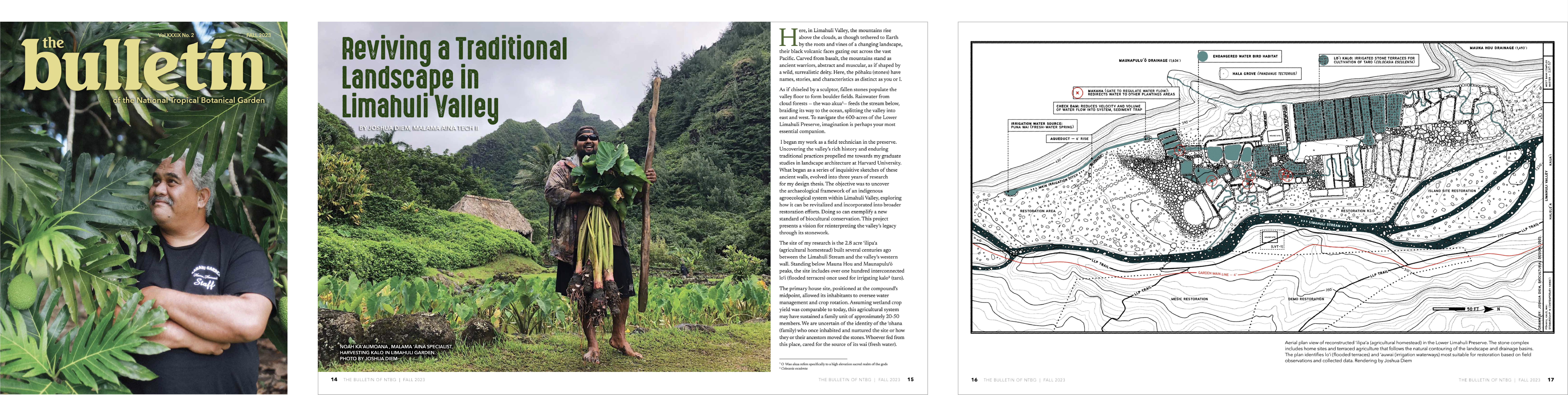 Reviving a Traditonal Landscape in Limahuli Valley. The Bulletin of the National Tropical Botanical Garden 39(2): 14-21.
