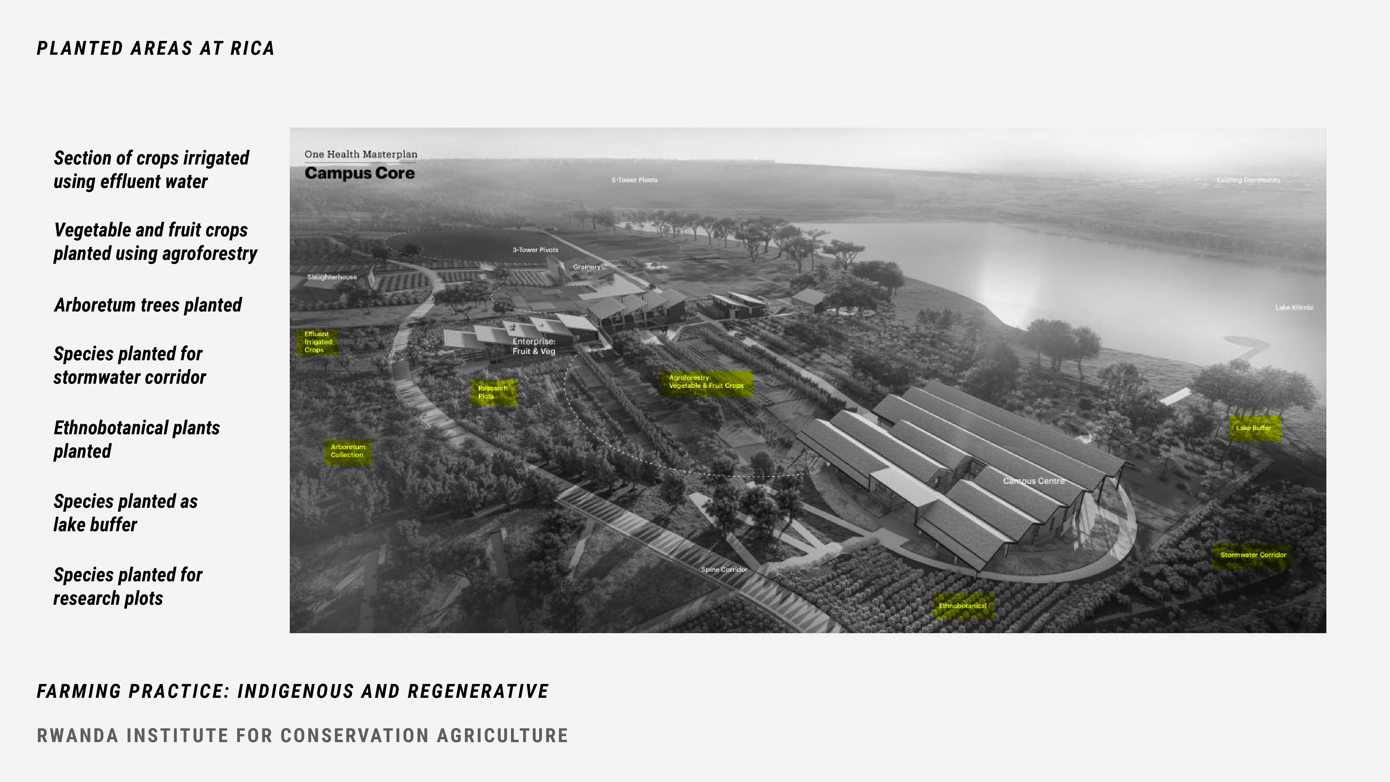 Figure 11. The RICA campus is planted using mixed agroforestry techniques to demonstrate indigenous techniques to students while they attend university. The campus includes wetlands, an ethnobotanical garden, stormwater corridor and arboretum, all of which are part of the living laboratory campus (MASS Design, 2020).