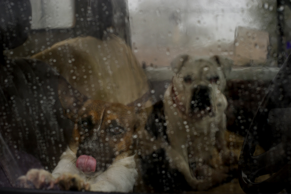 Arkaroola, South Australia 2011