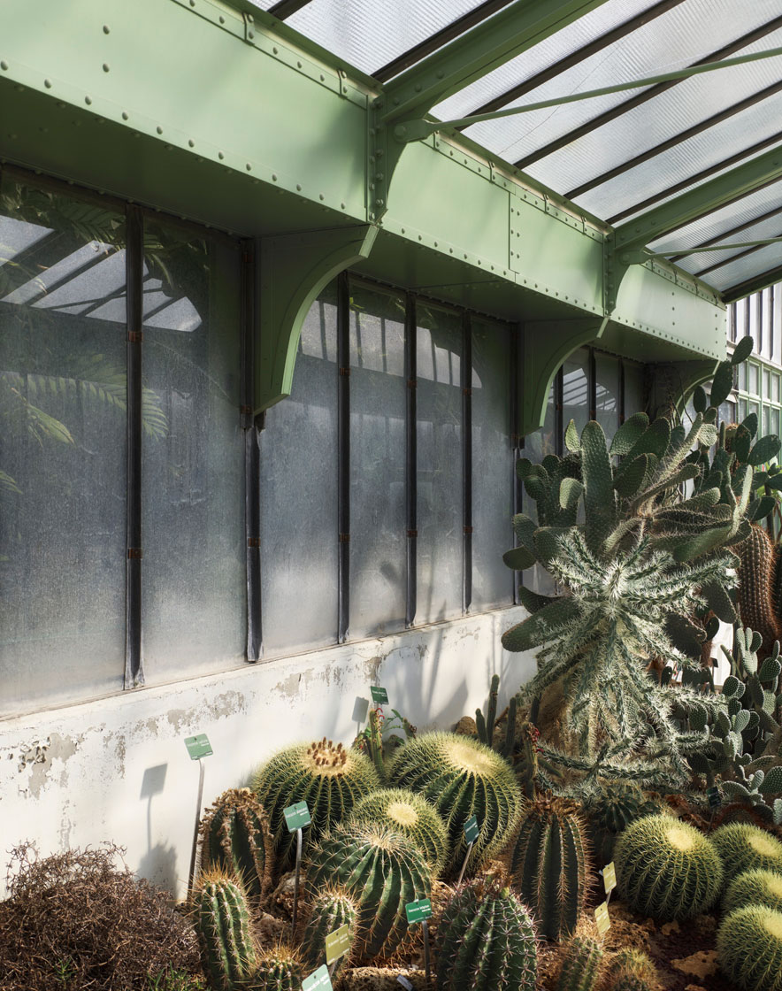 NATIONAL MUSEUM OF NATURAL HISTORY, PARIS 