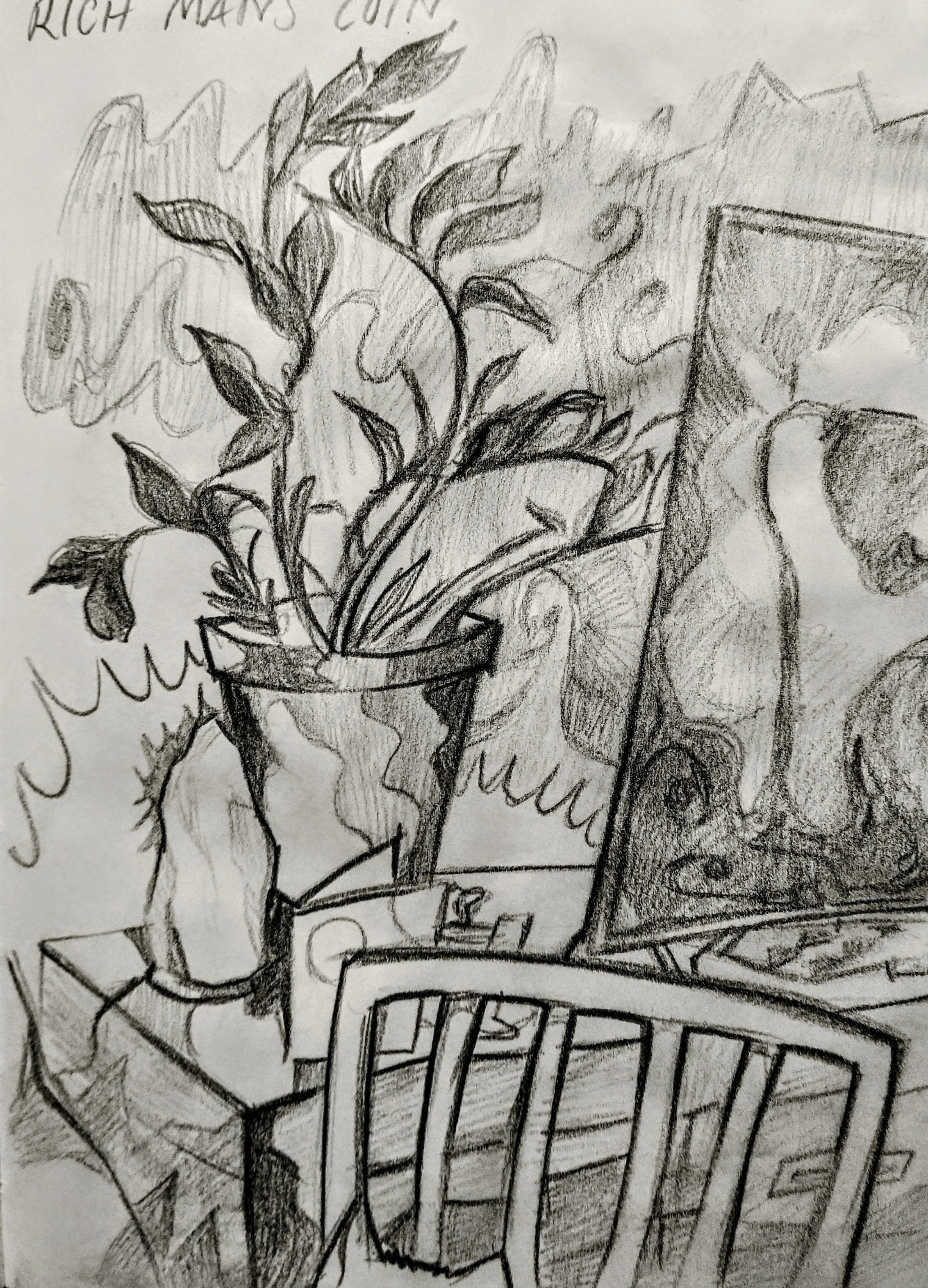 Dani's flat featuring Bandini's ears