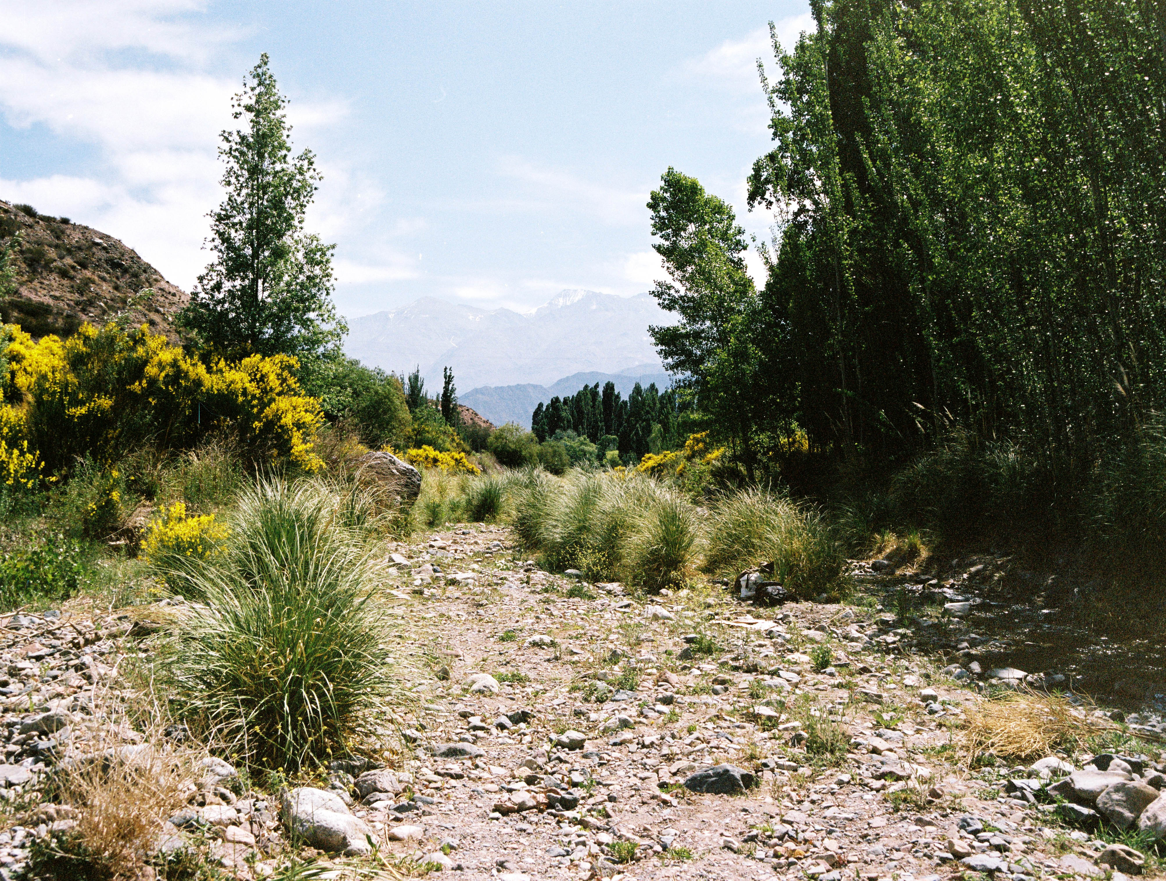 Potrerillos, Mendoza 2019 (120mm)