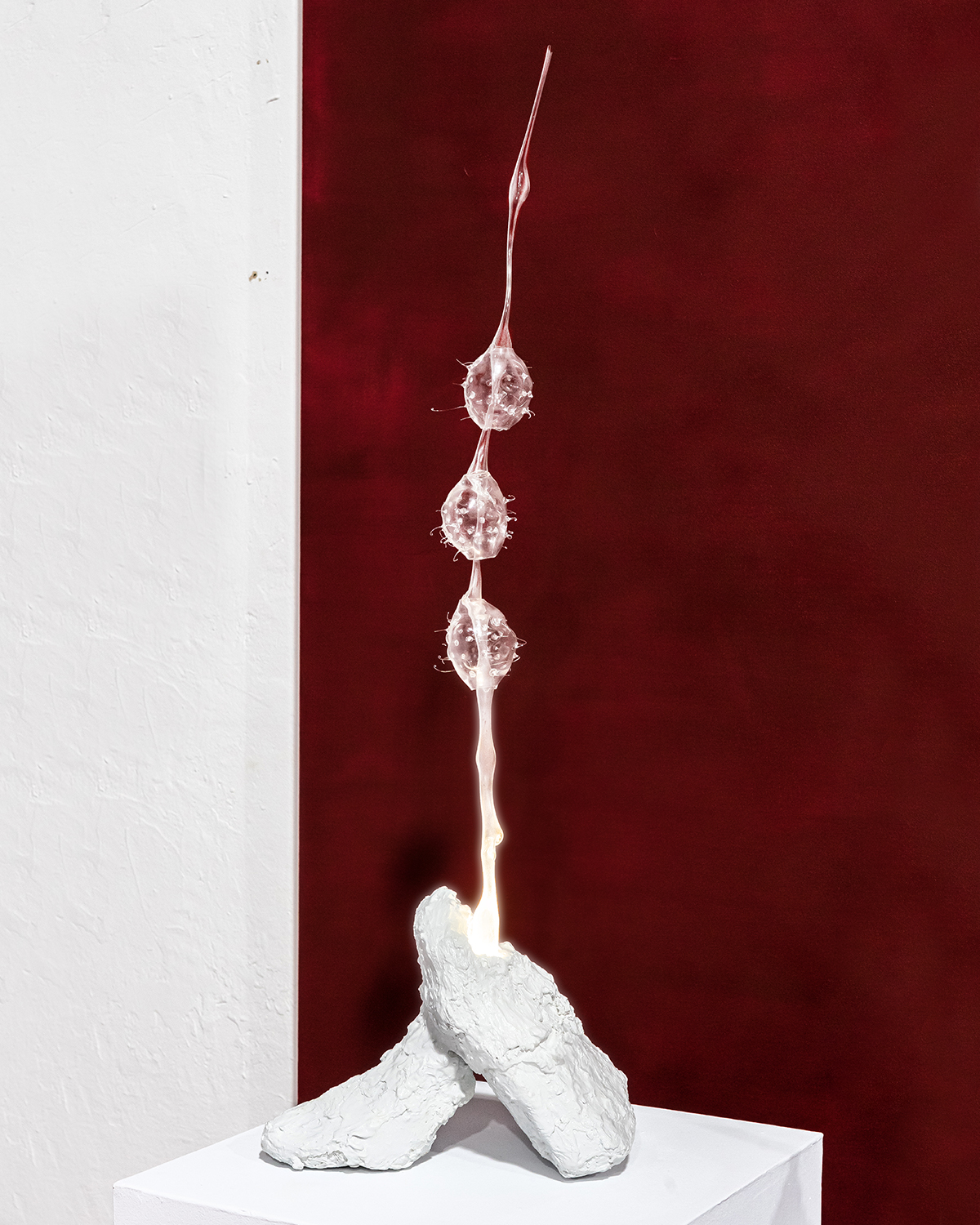 Cyclosalpa Pinnata (Salpida) made with Blown Glass, exhibited at Plataforma 2, Plaja Studio