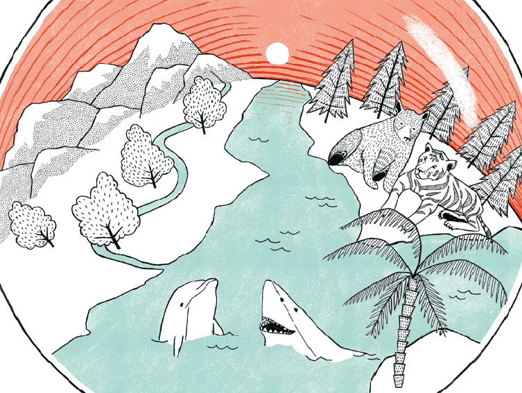 Close up illustration