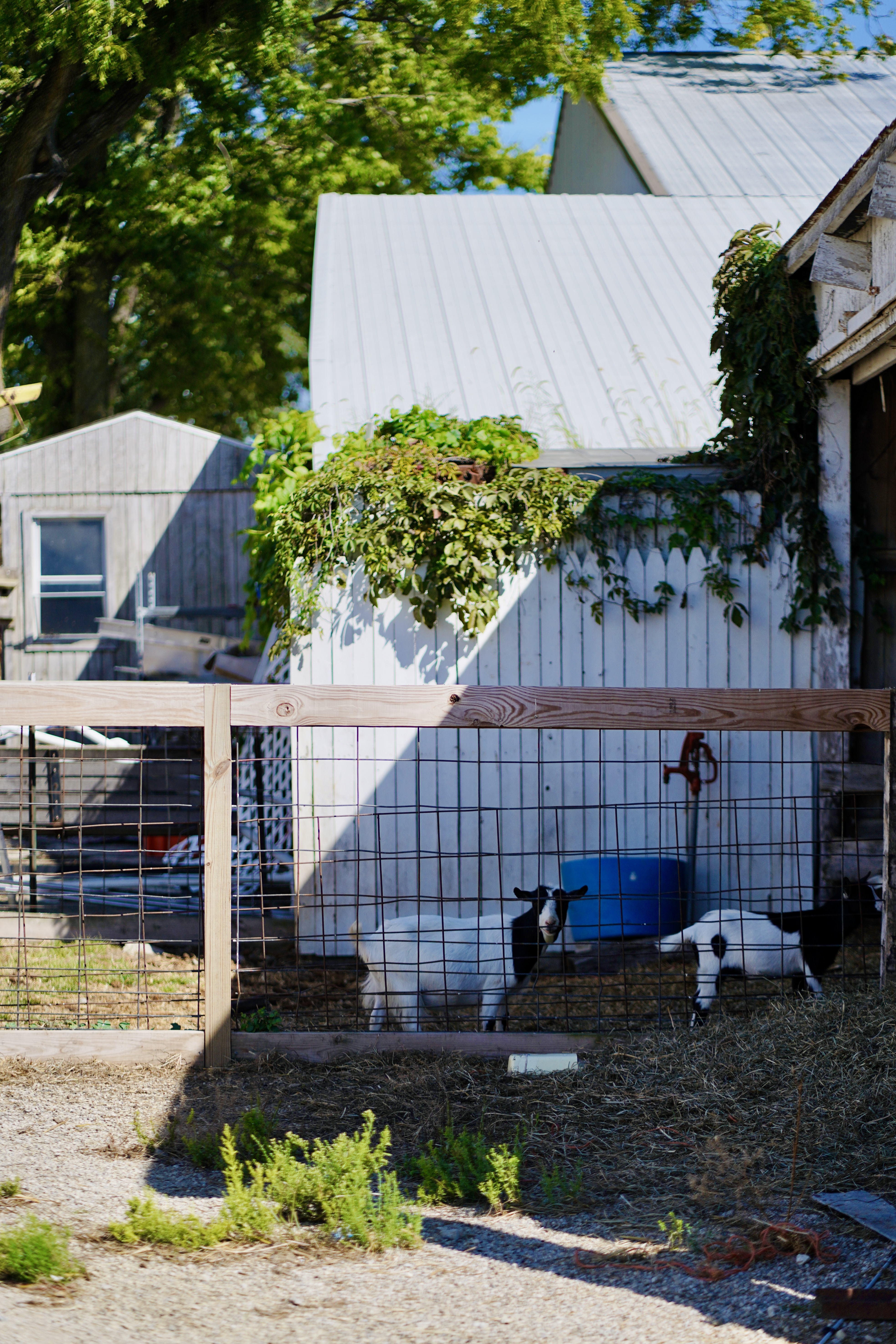 Tiffin, OH/September 21'