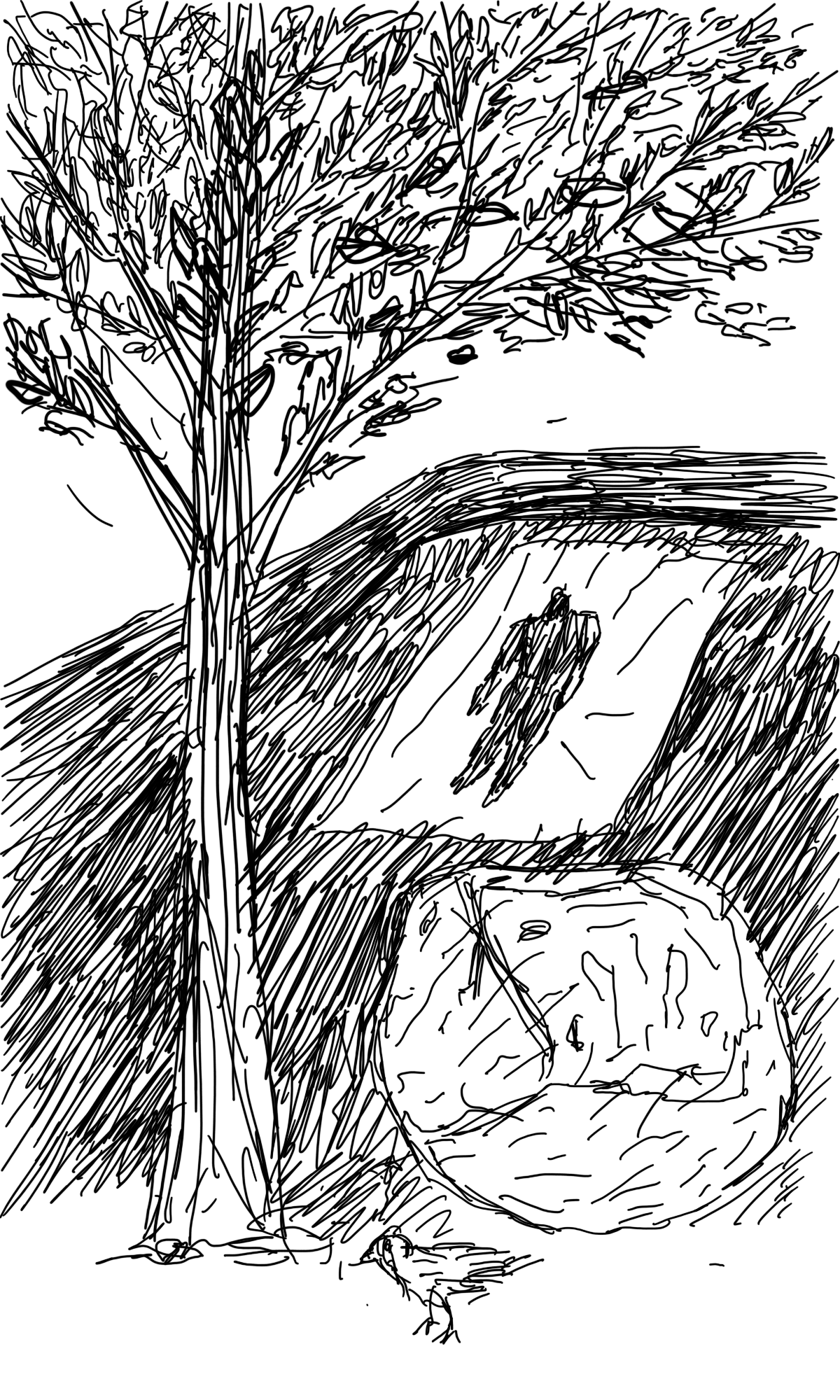 웅덩이_A puddle_digital drawing_2020