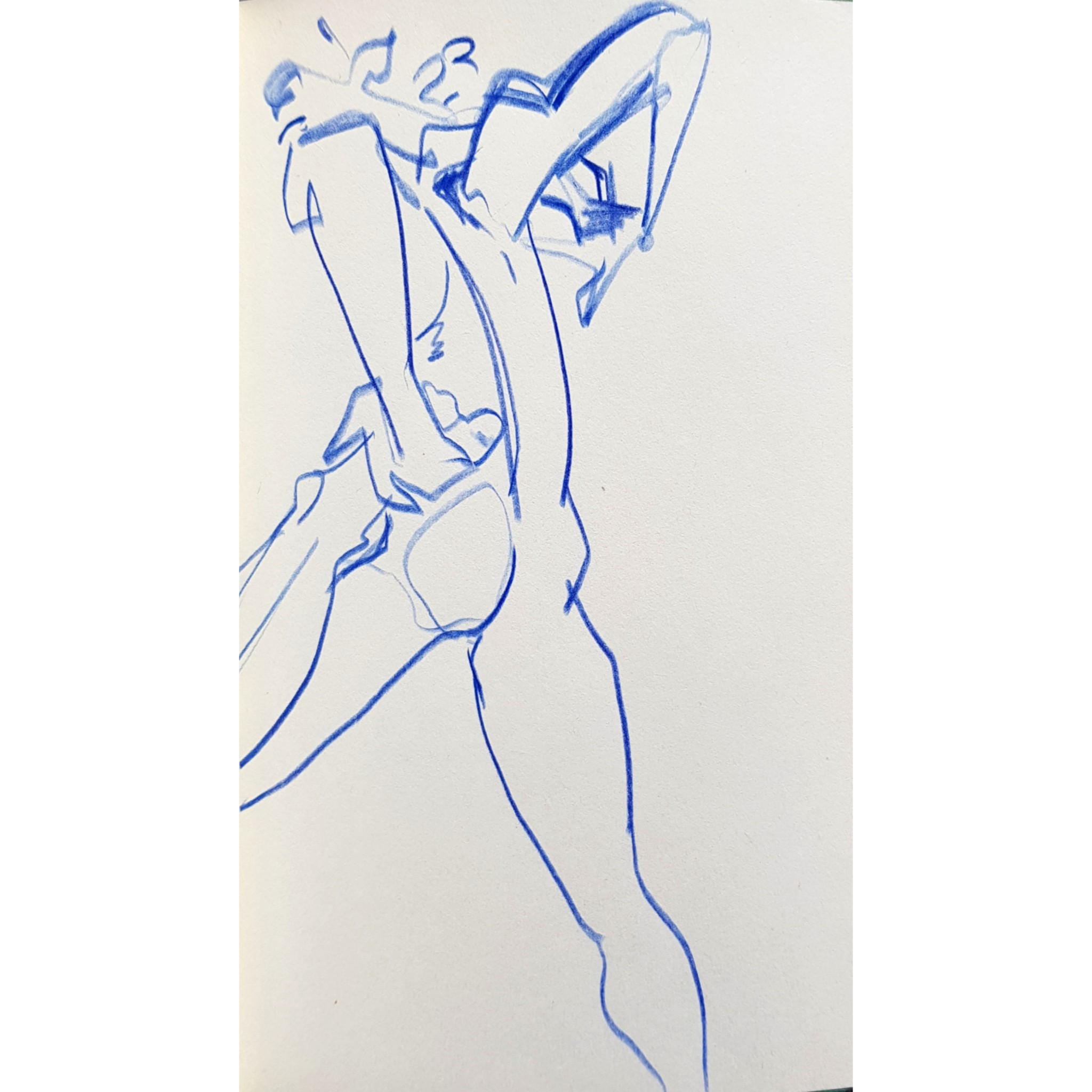 Safire Streches, pencil on paper, with mount 21 x 15cm, 