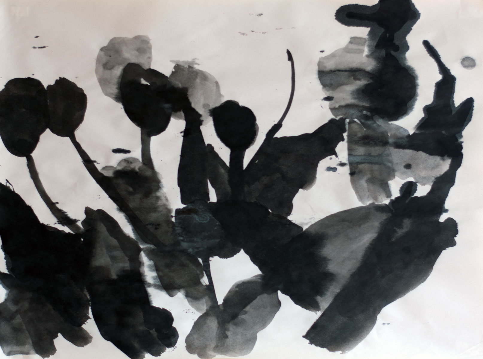 Ink on newsprint drawings — Ekaterina Vanovskaya