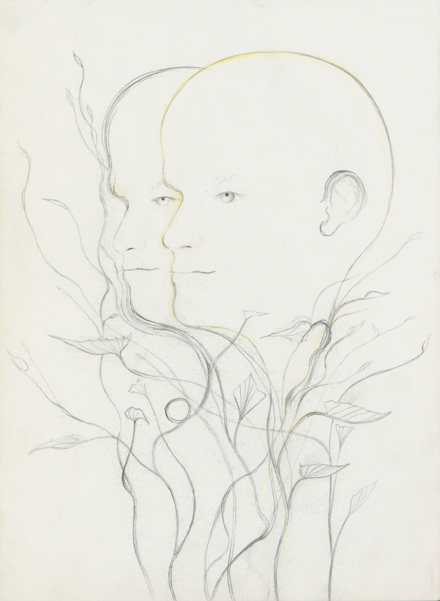 Twins I, 2014, pencil on paper, 28.6x21