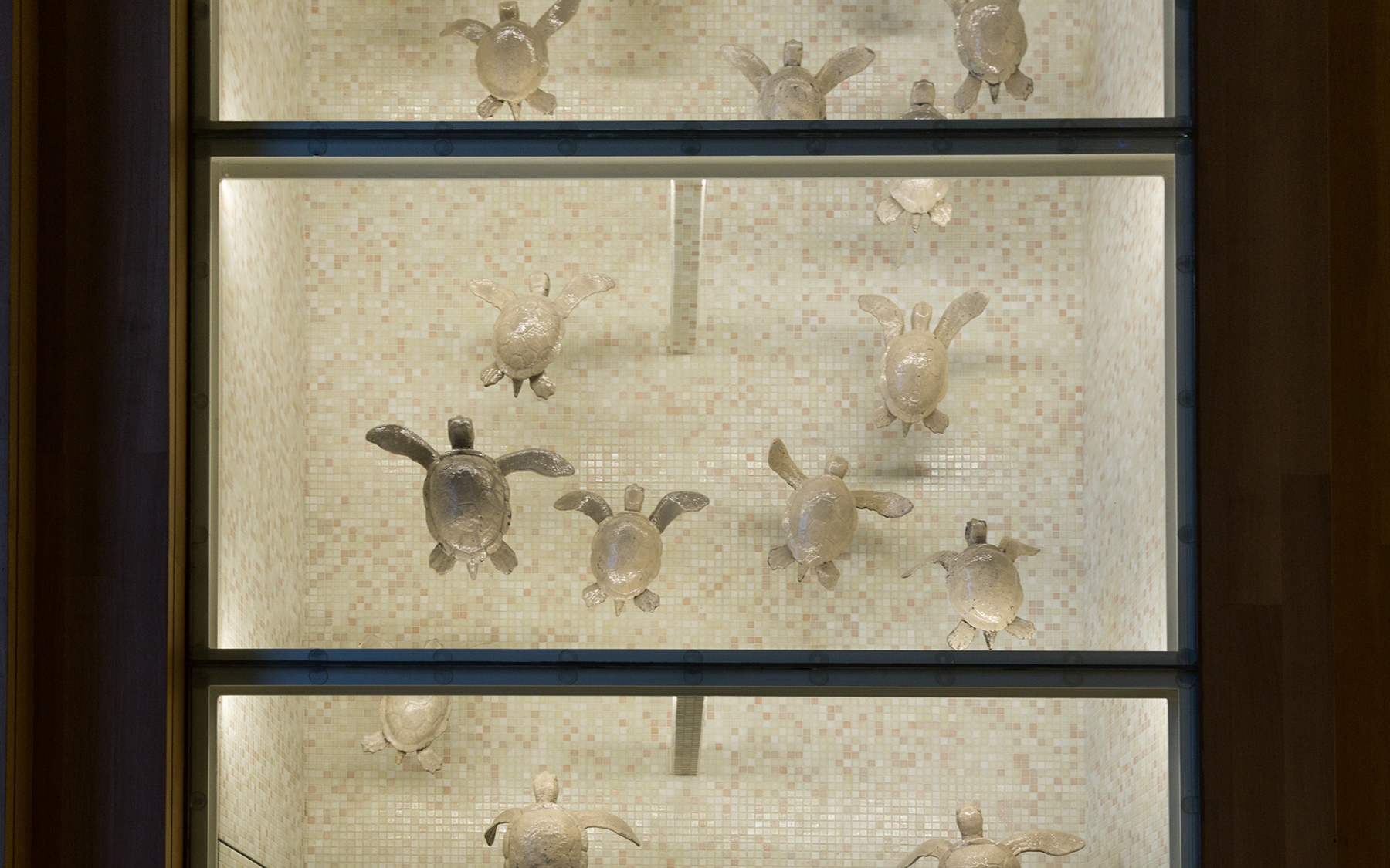 Aphrodite sur l'Hôtel, Installation with Gabriel Leger. Coco-Mat BC. 2018