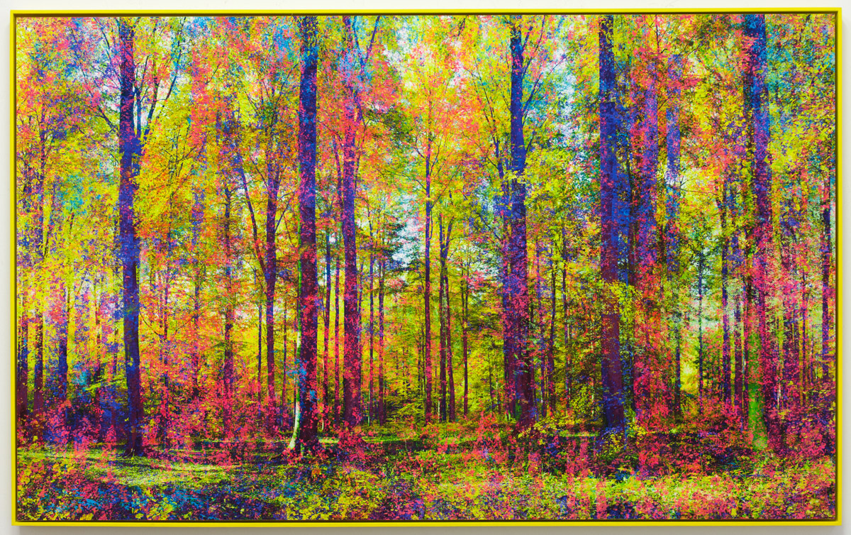 "Dreams that you dream", jaune et violet, 131x80cm - 2022