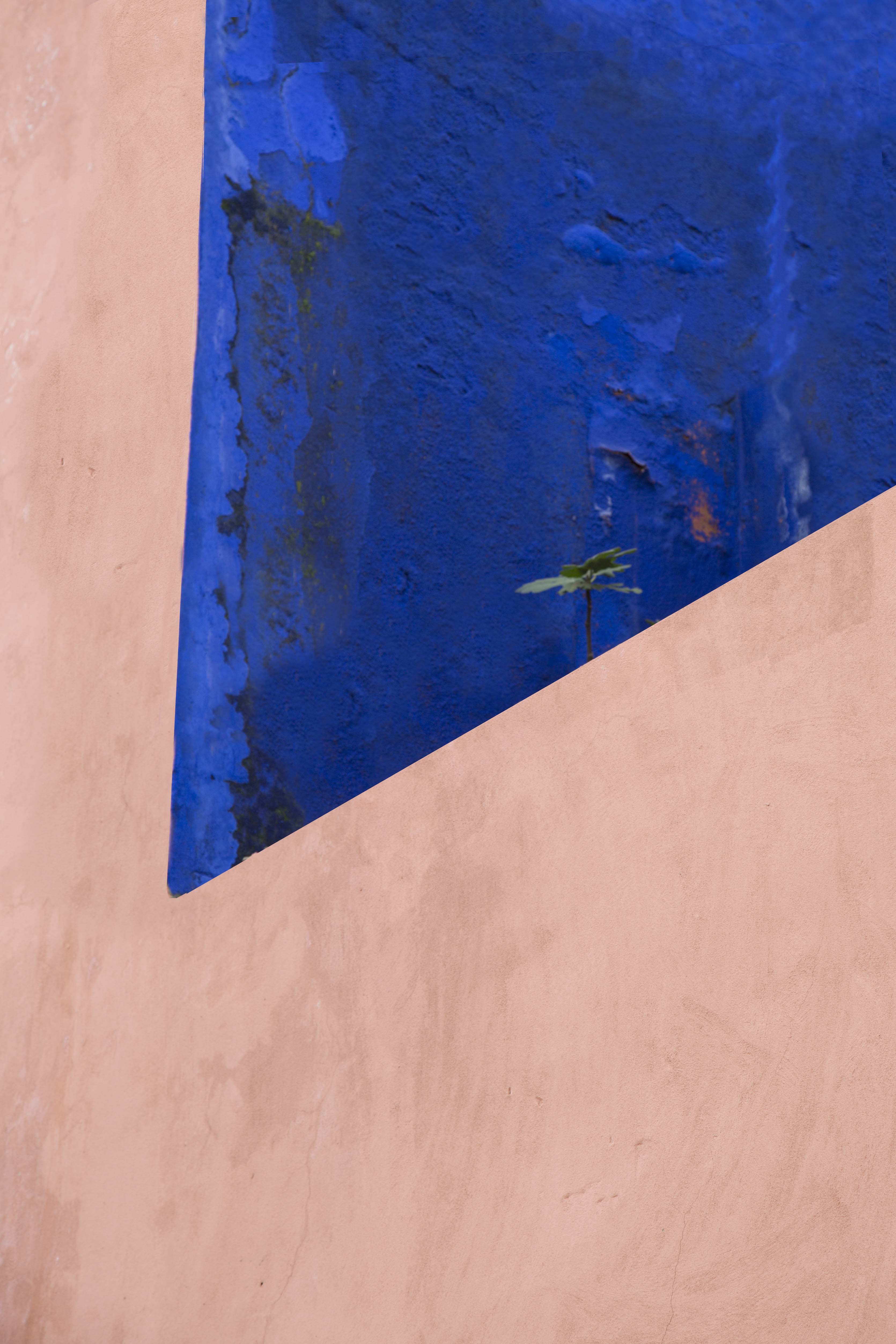 Amel Guellaty, Majorelle, 2020