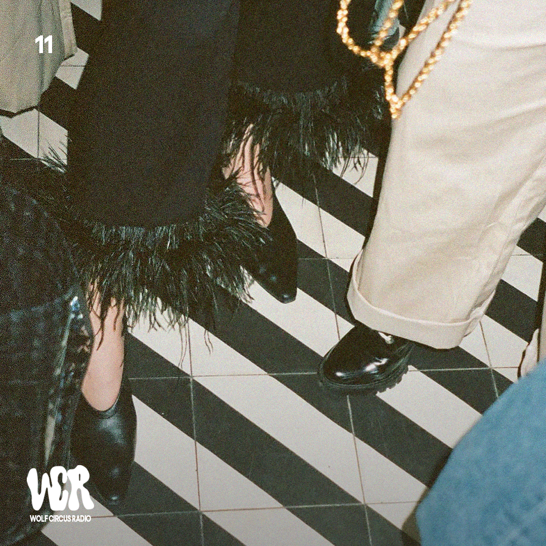 Wolf Circus Radio Series - Logo & Cover