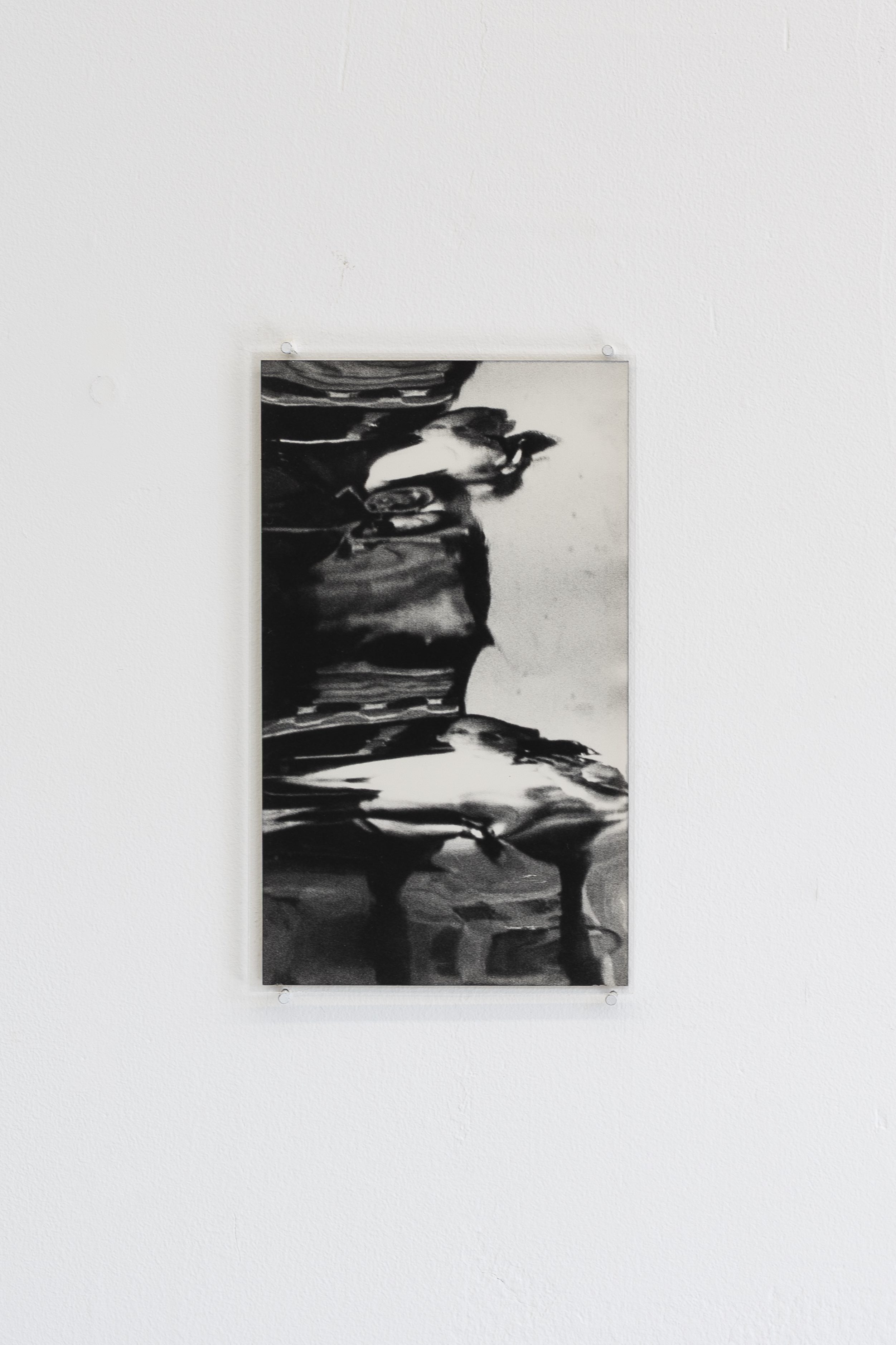 Untitled, 1970s, Gelatin silver print (printed by Bettina), 6 3/4 x 4 in. (17.1 x 10.2 cm.)