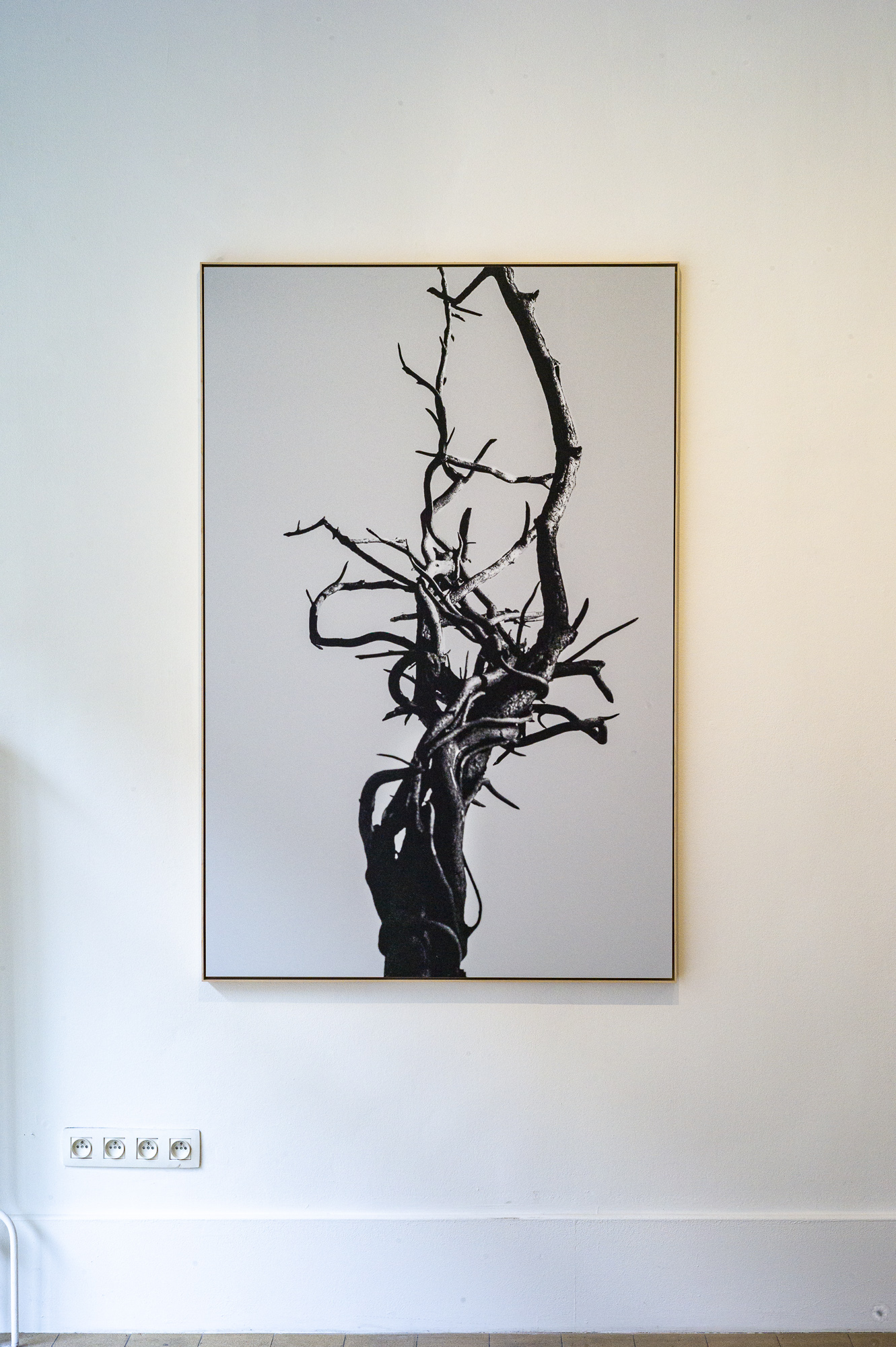 Solo Exhibition Ingrid Deuss Gallery Antwerp 2021 / Title: Dances 100 x 150 cm / Pigment print on Archival Satin paper