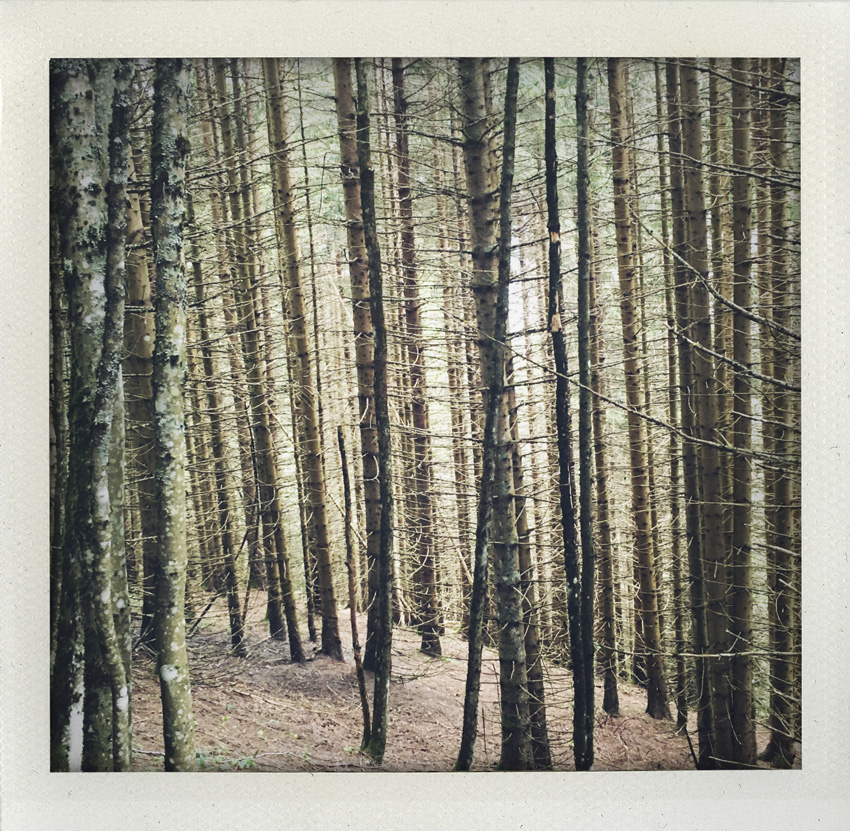 Les Contamines Montjoie 07/2020