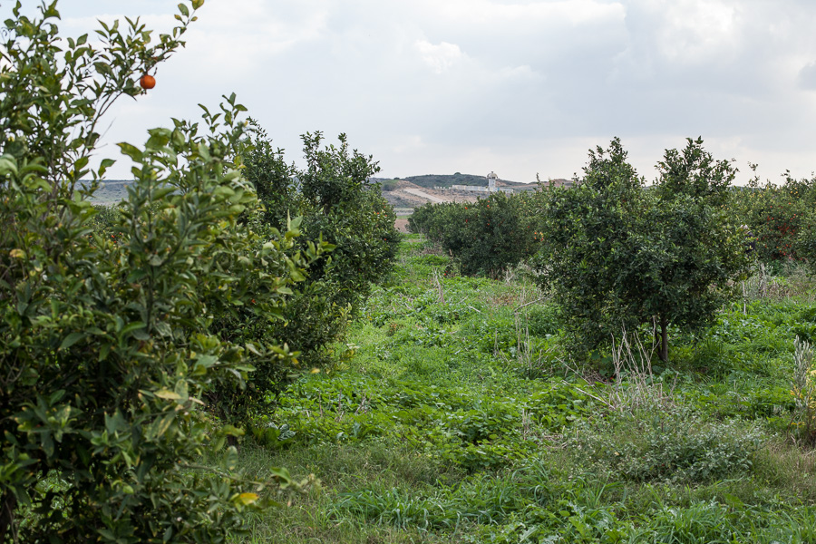 Les constructions trop proches du mur sont d&eacute;truites, et les fermiers qui s'aventurent sur ces terres r&eacute;guli&egrave;rement pris pour cible.