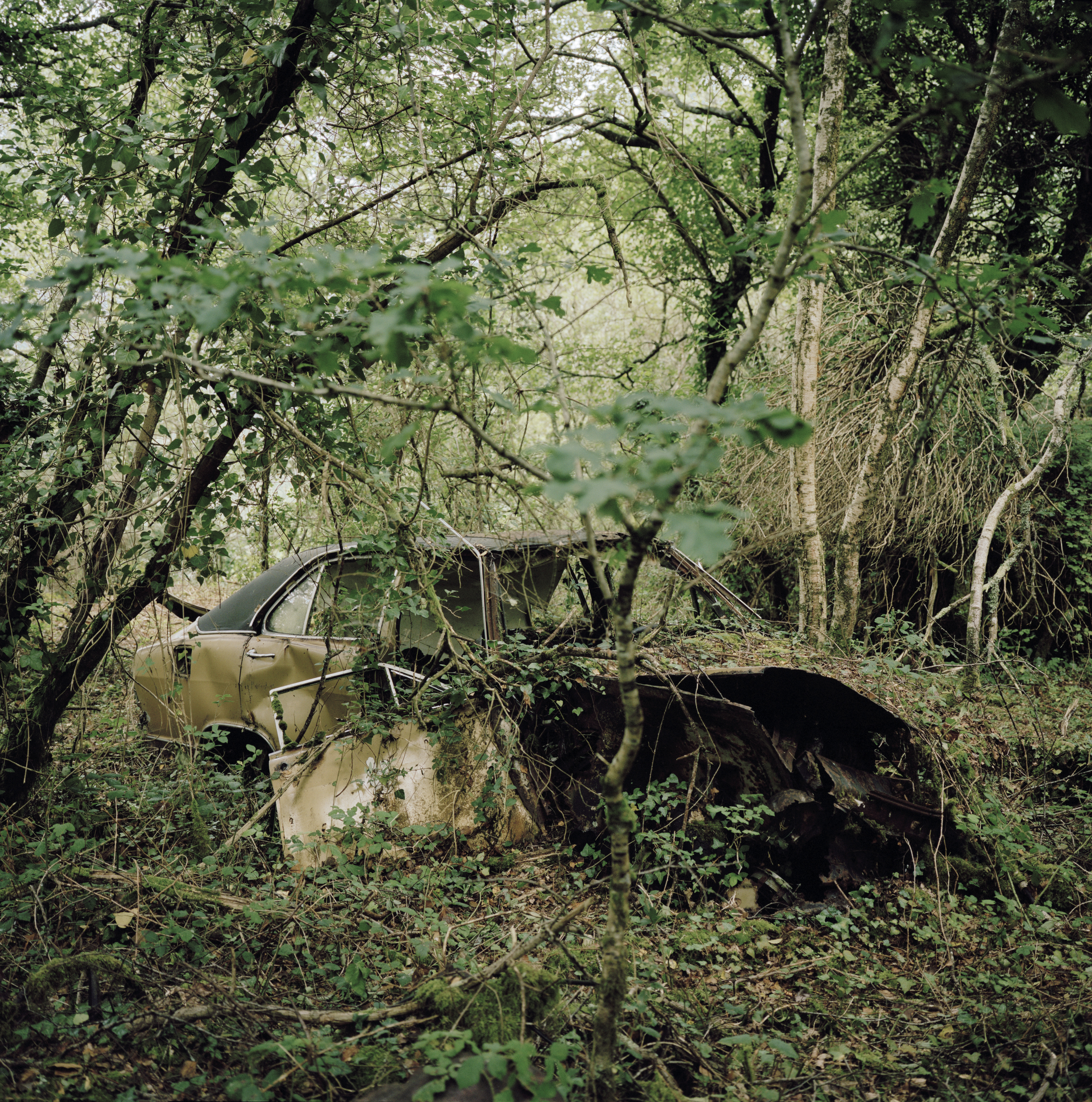 Opel Olympia - Huelgoat (Brittany) 2010