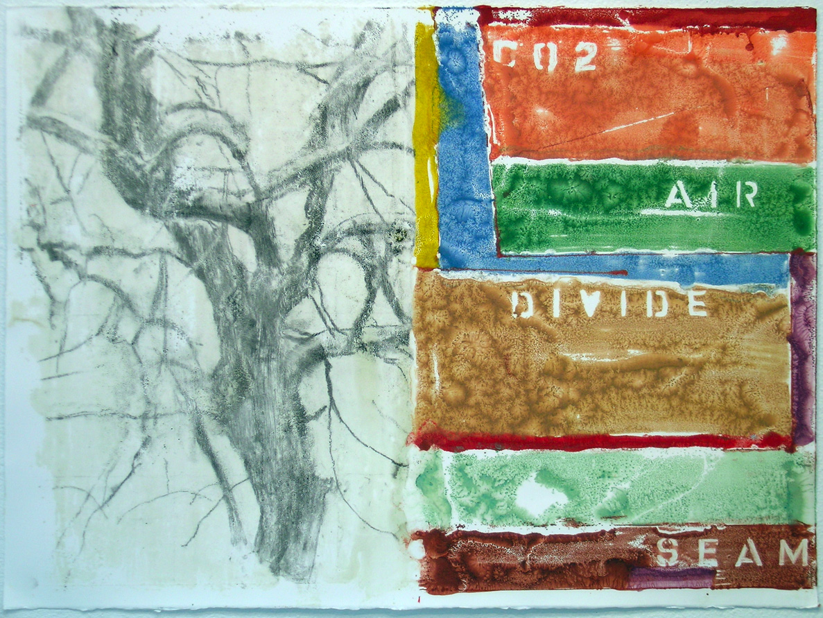 Divide. 2009. encaustic monotype. 22' X 30"