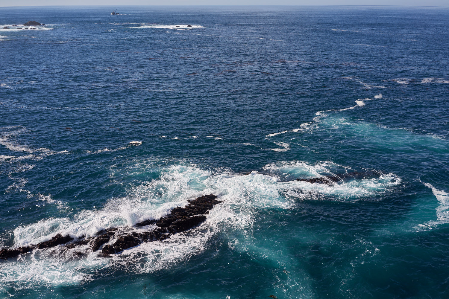 2019 Point Lobos California