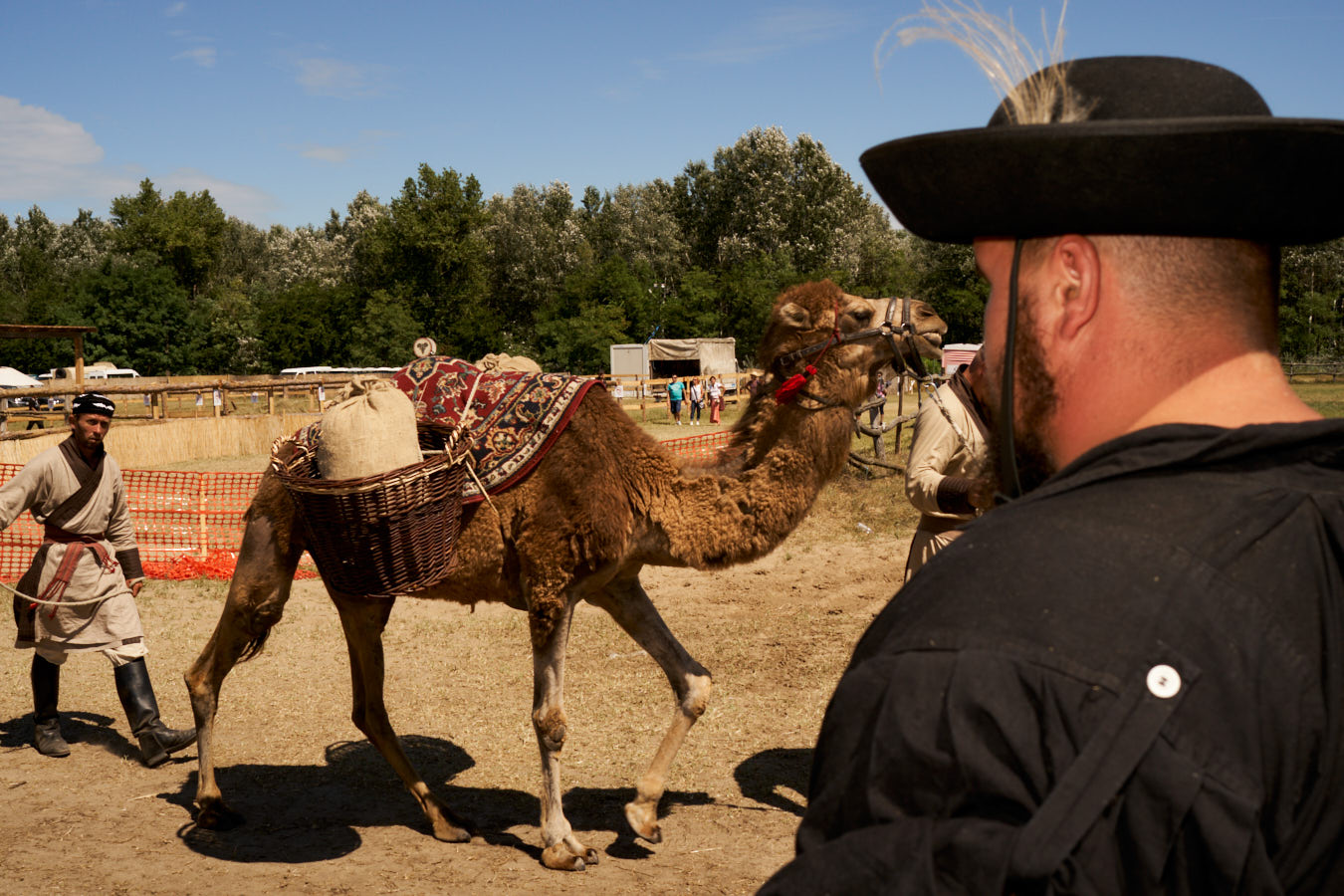 The Blistering Third Sonand his love for horsesBUGAC / HUNGARY