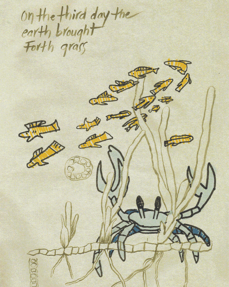 A gif composed of a promotional poster and images of varying covers of Michele Oka Doner’s “Thalassia” in which children have colored upon.