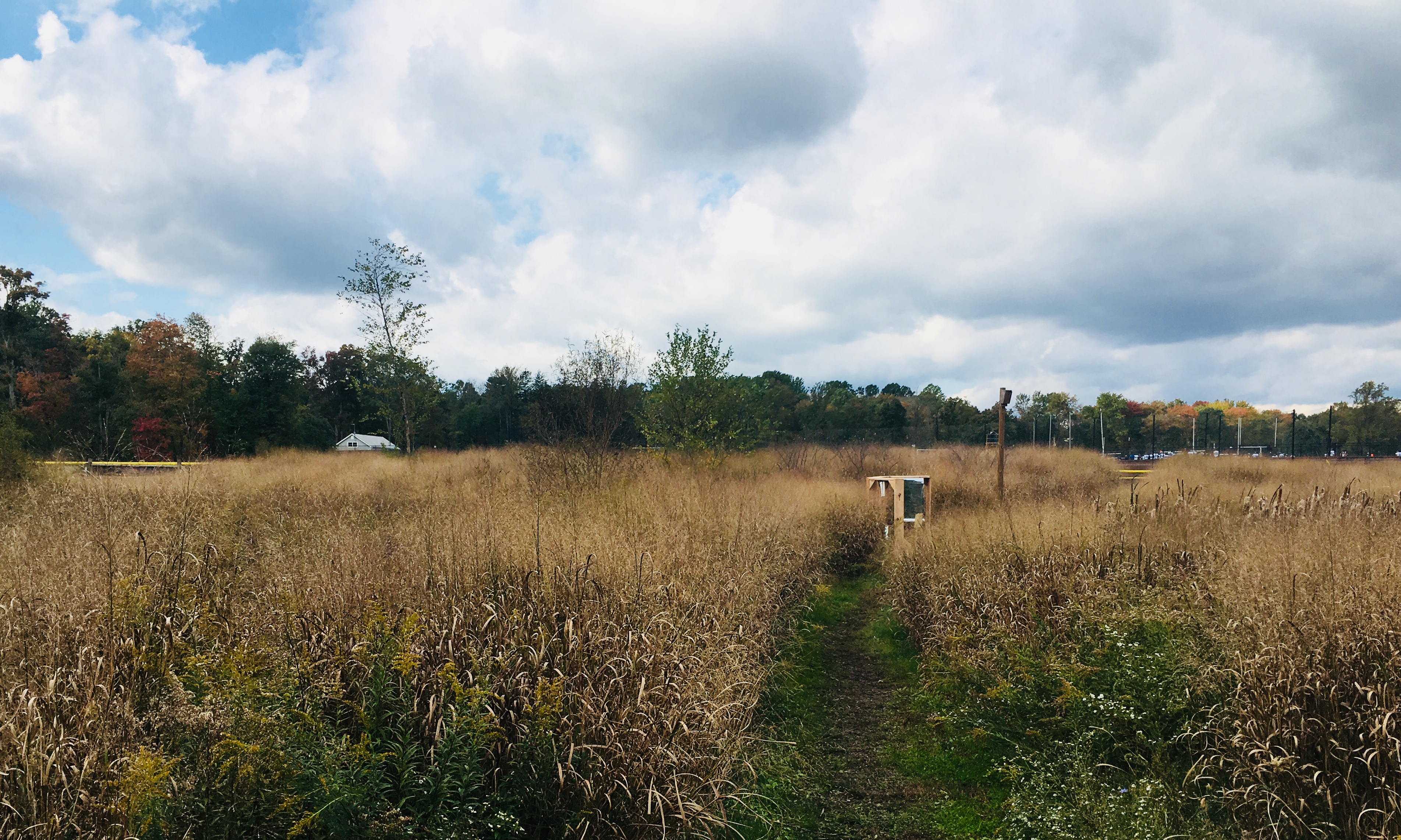 (Behind) You !, 2018