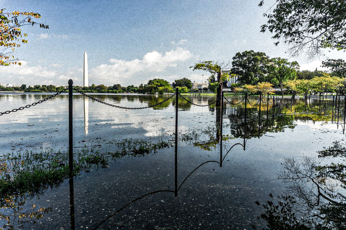 https://dc.curbed.com/2019/10/22/20926649/dc-tidal-basin-national-mall-preservation-nps