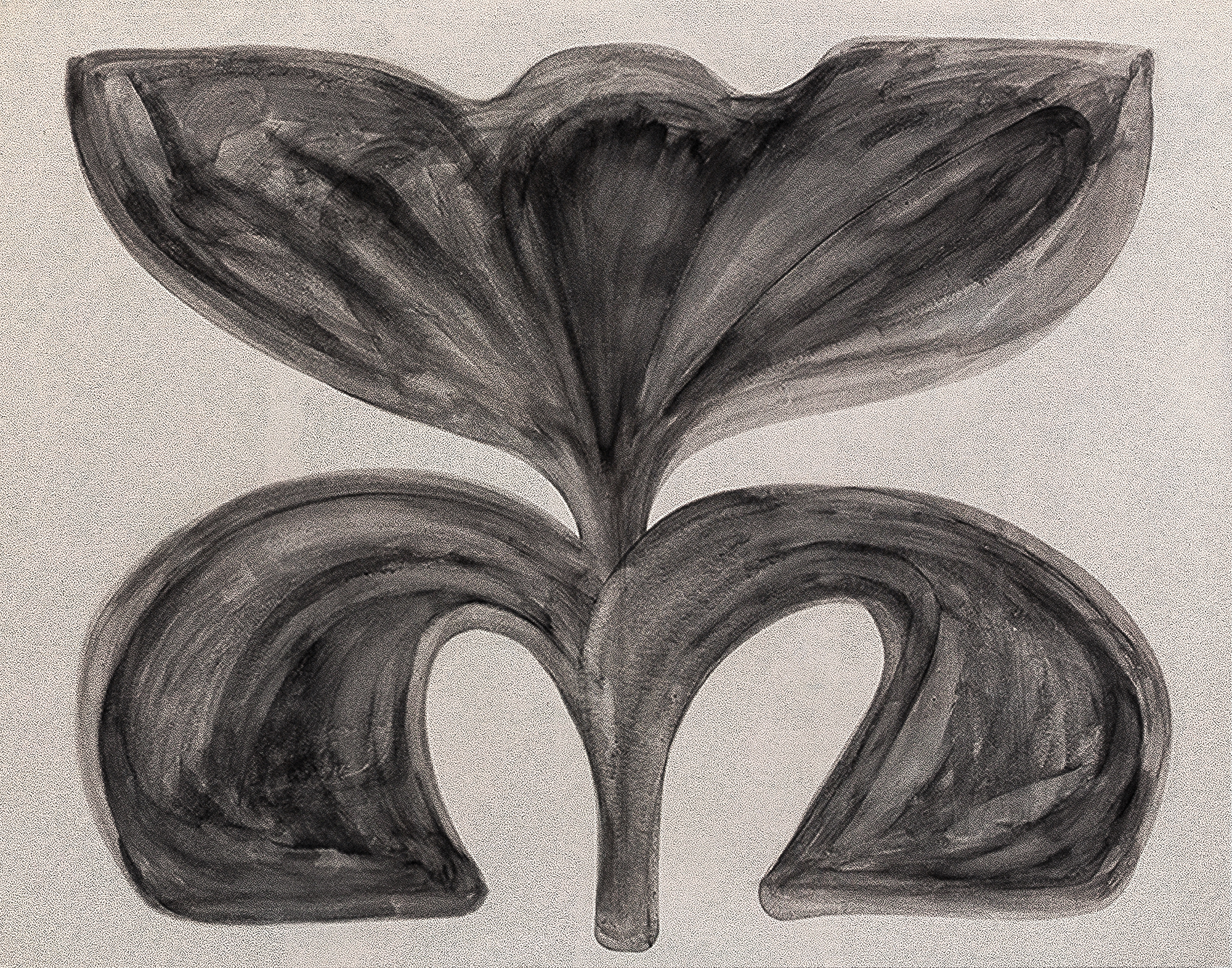 Tulip 01, 2024