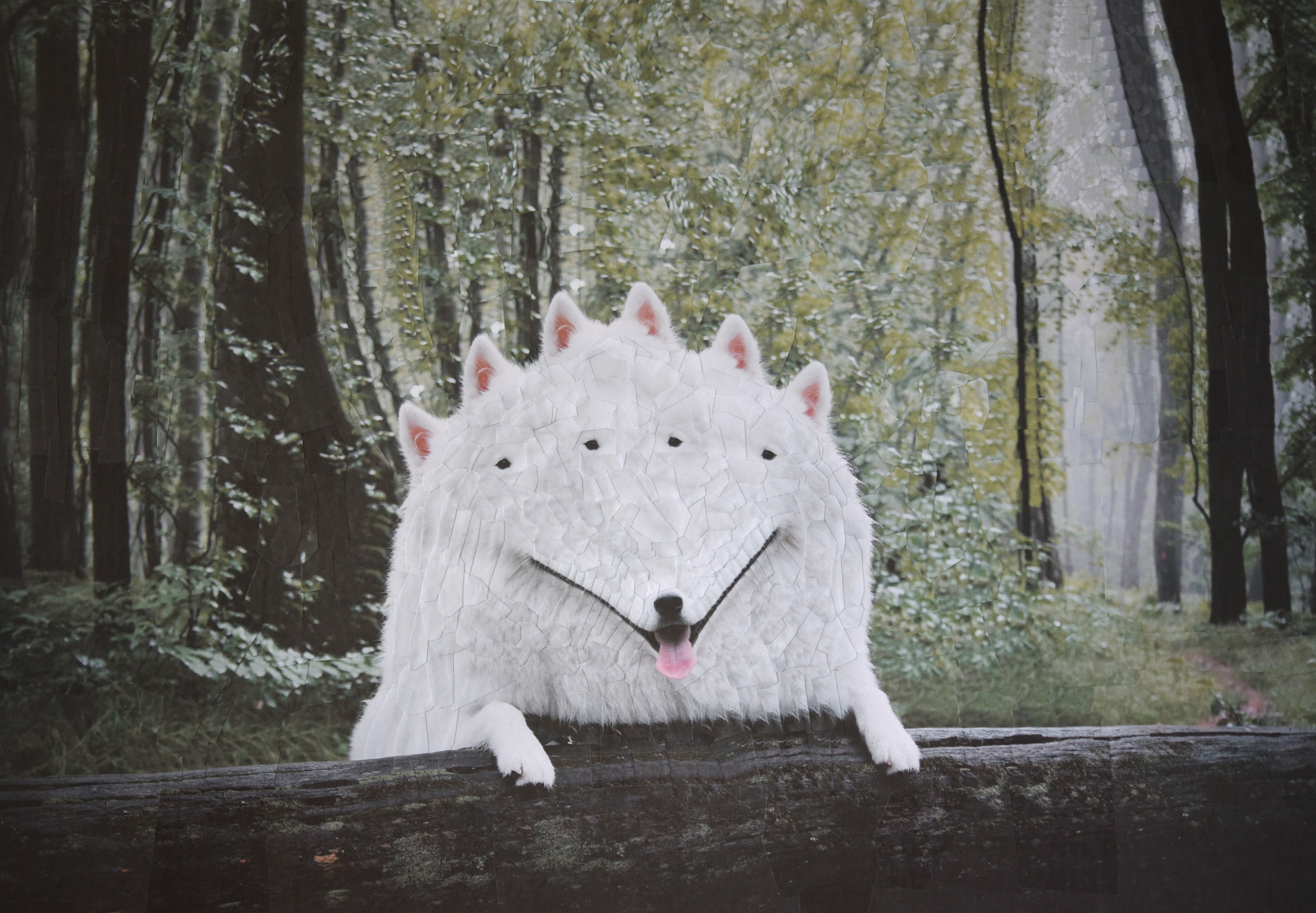 Tato, 2018, 16.5 x 11.5 inches