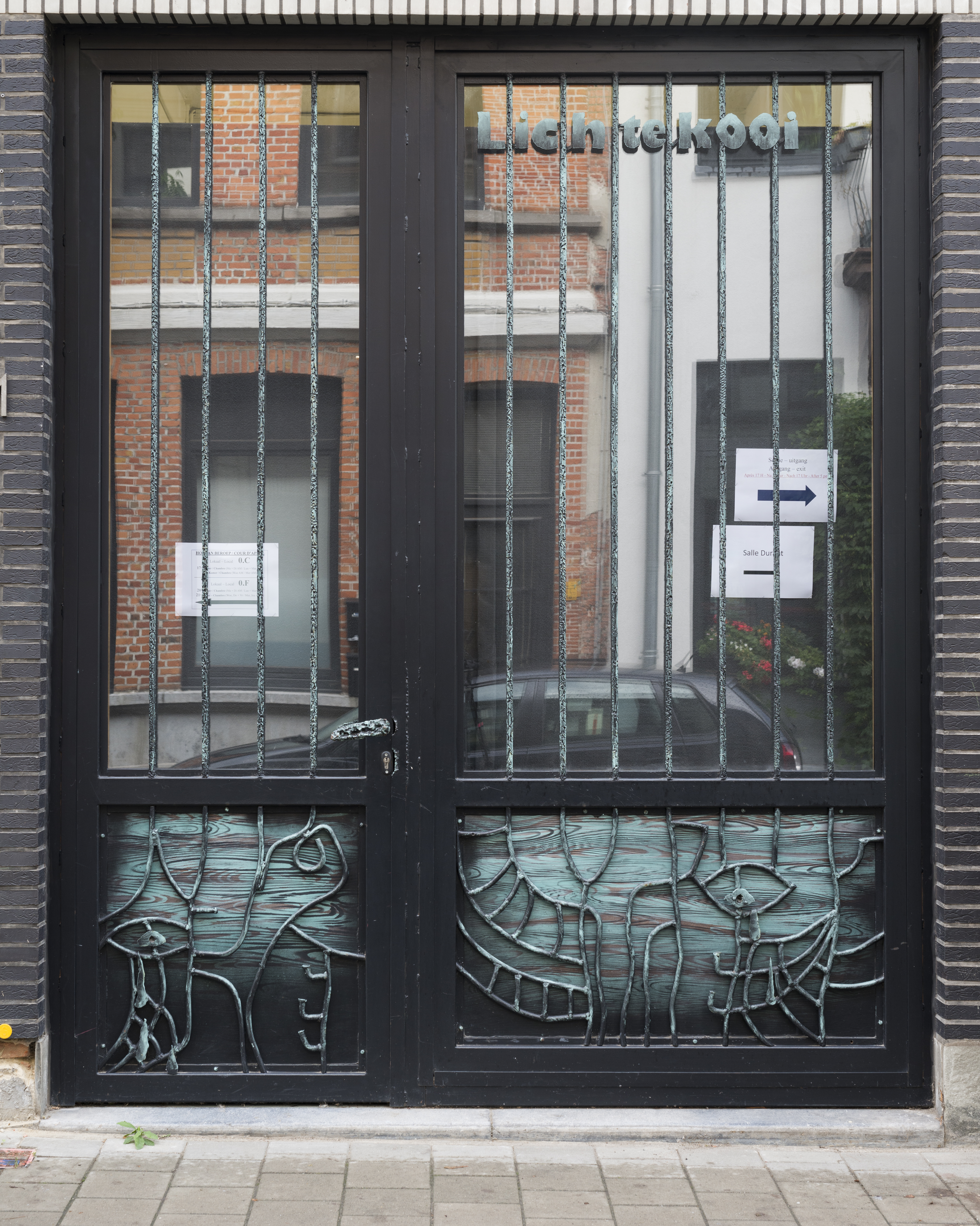 P|cture by Fabien Silvestre Suzor