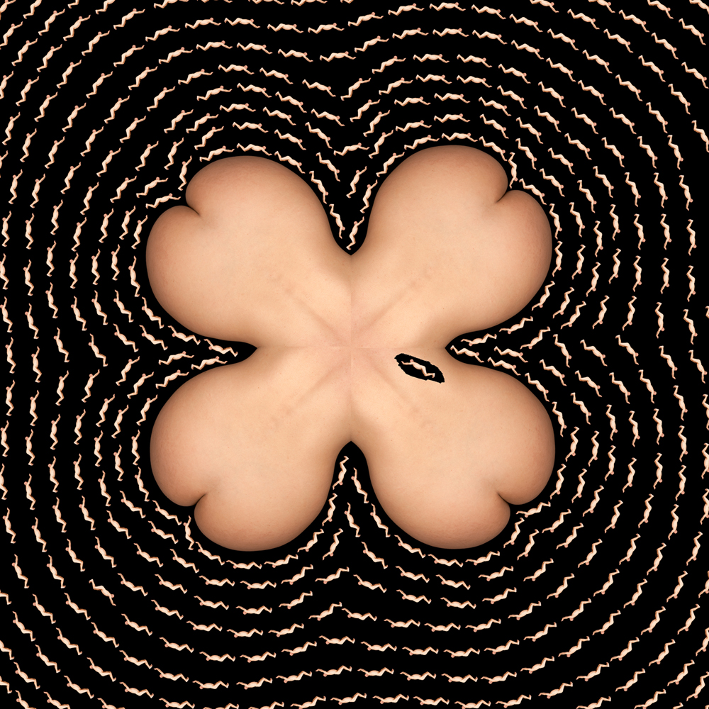 2011 06Charles Baudelaire, Les Fleurs du malCharles Baudelaire, Květy zla