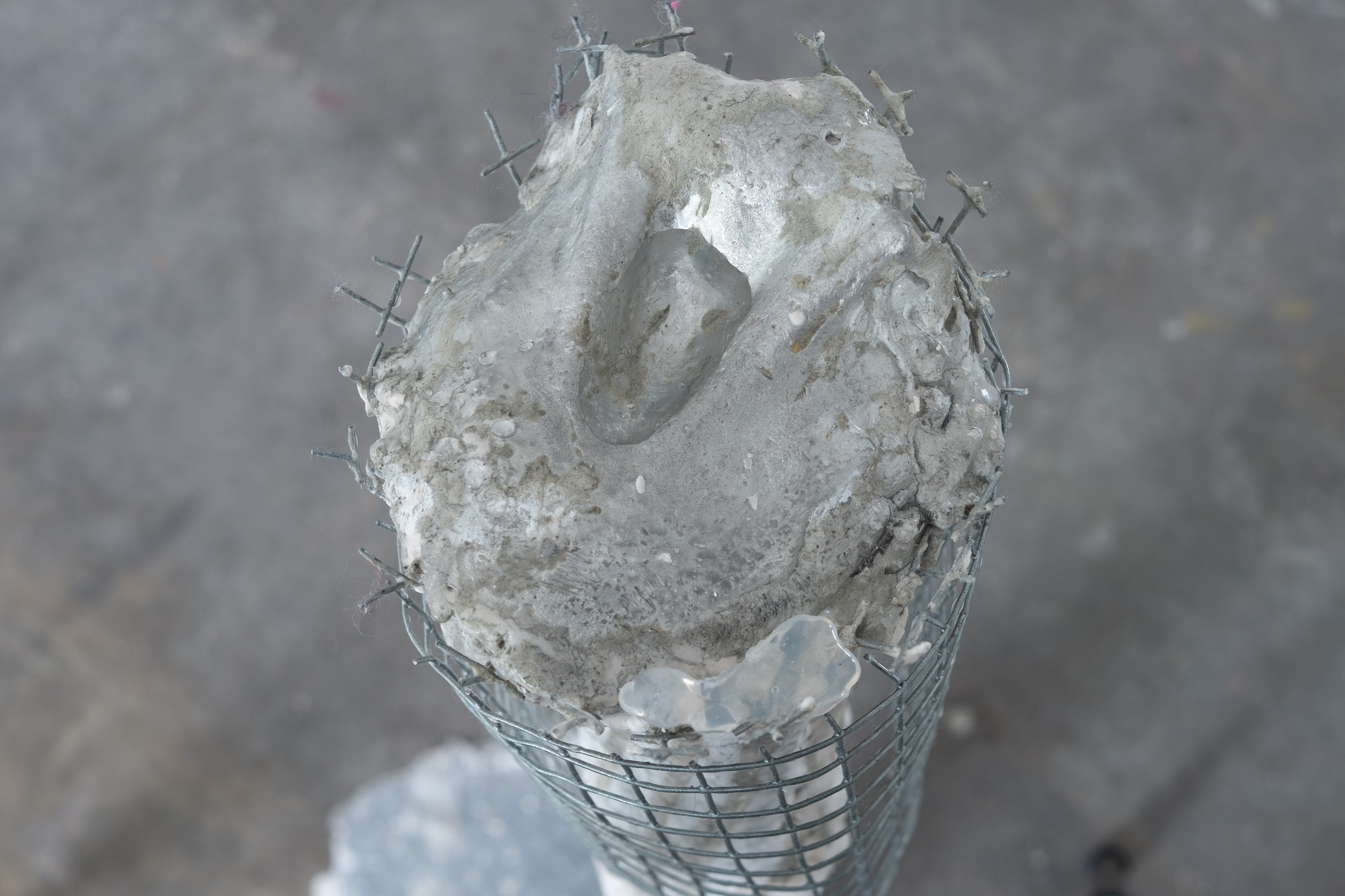 Pecking Bowl. Jasmine Pajdak