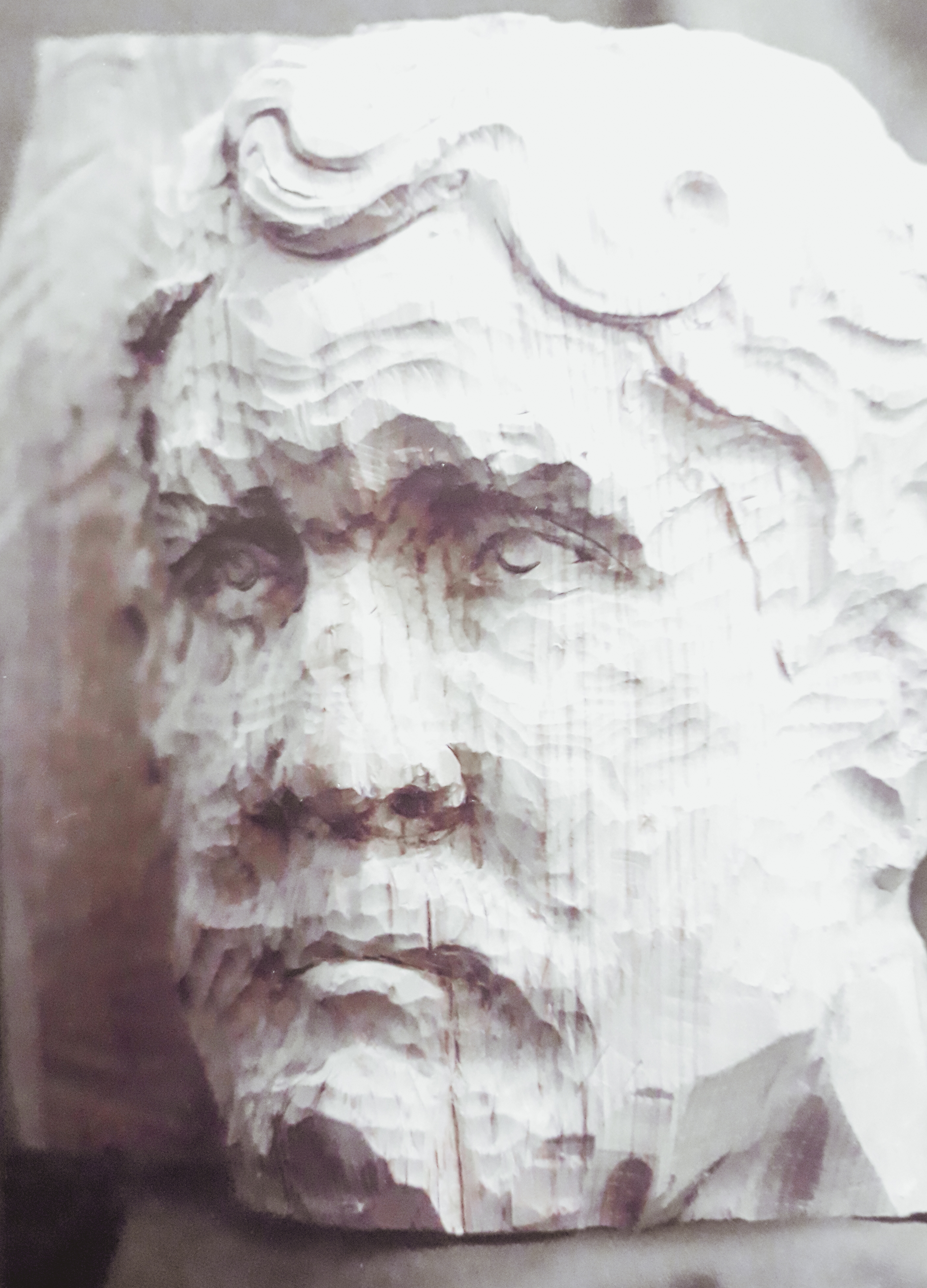 fr&ecirc;ne | h. 33 cm