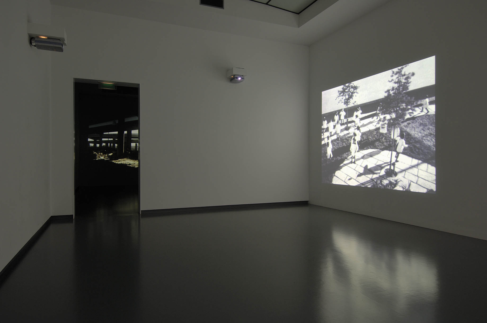  all photos Peter Cox