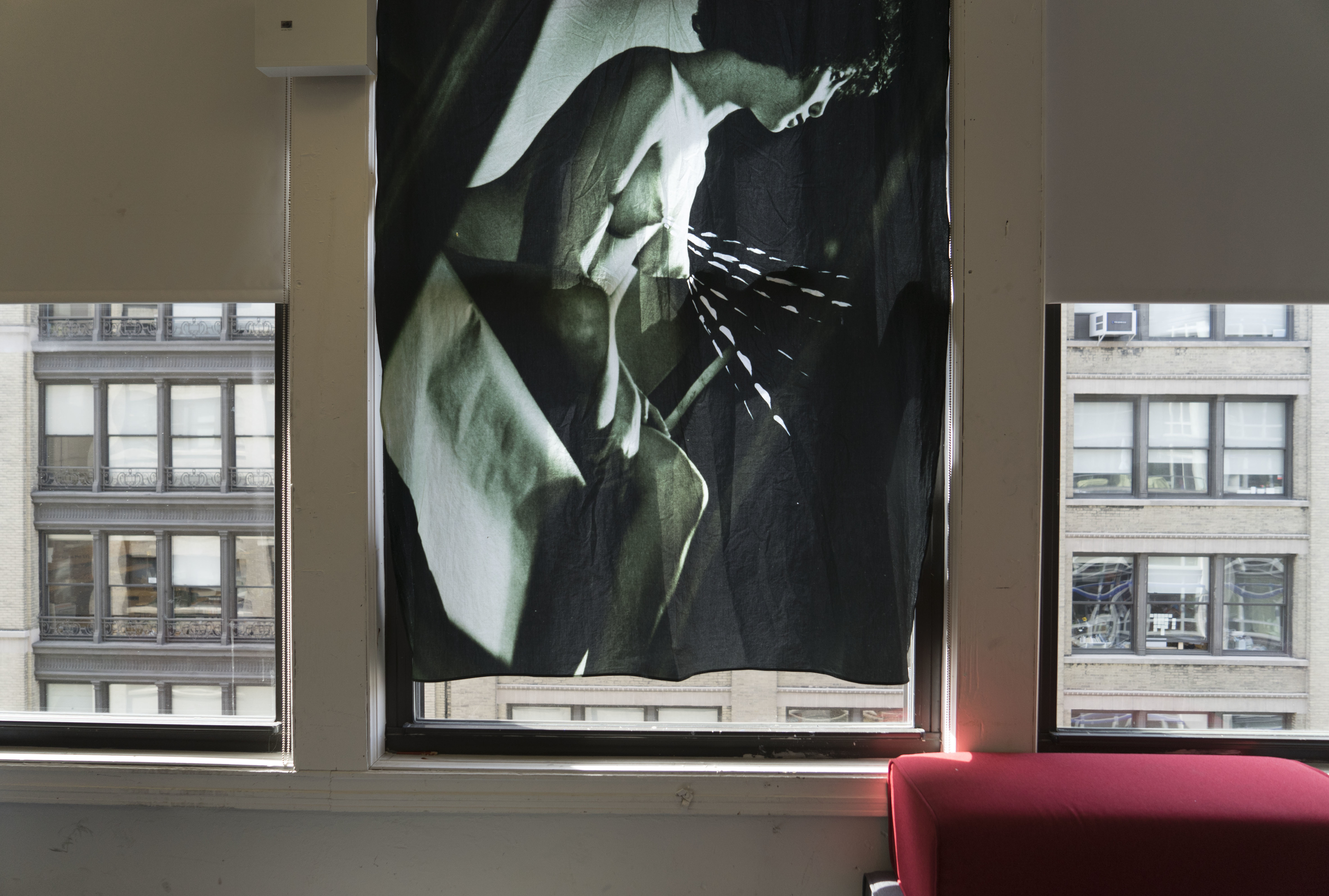 Madonna Lactans III, 2015, Digital print on cotton, 57 x 78 inches.
