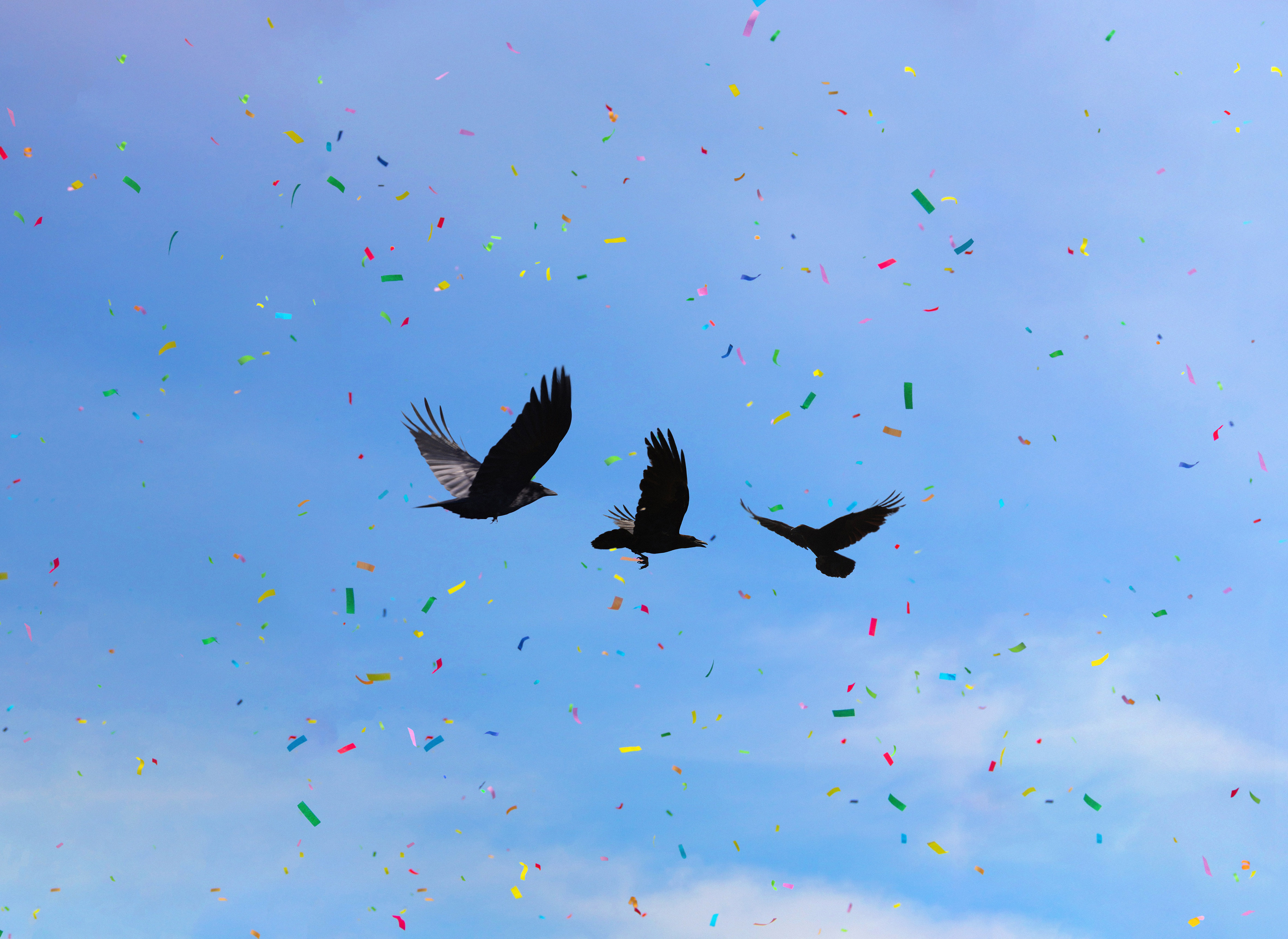 Crashers, 2021, commissioned by Cork International Film Festival