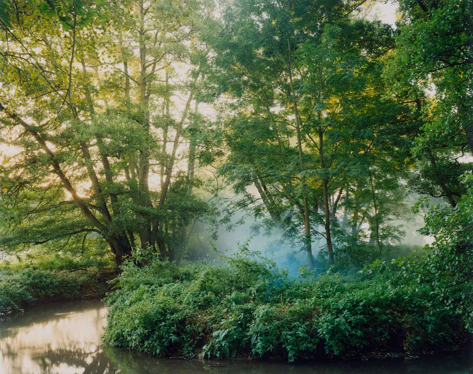 'First Smoke Flare Into The Alders'