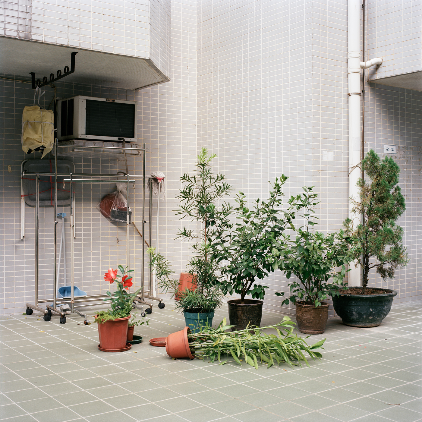 Hong Kong Village III, 2014