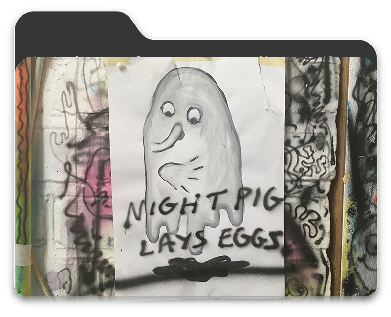 Night Pig Lays Eggs