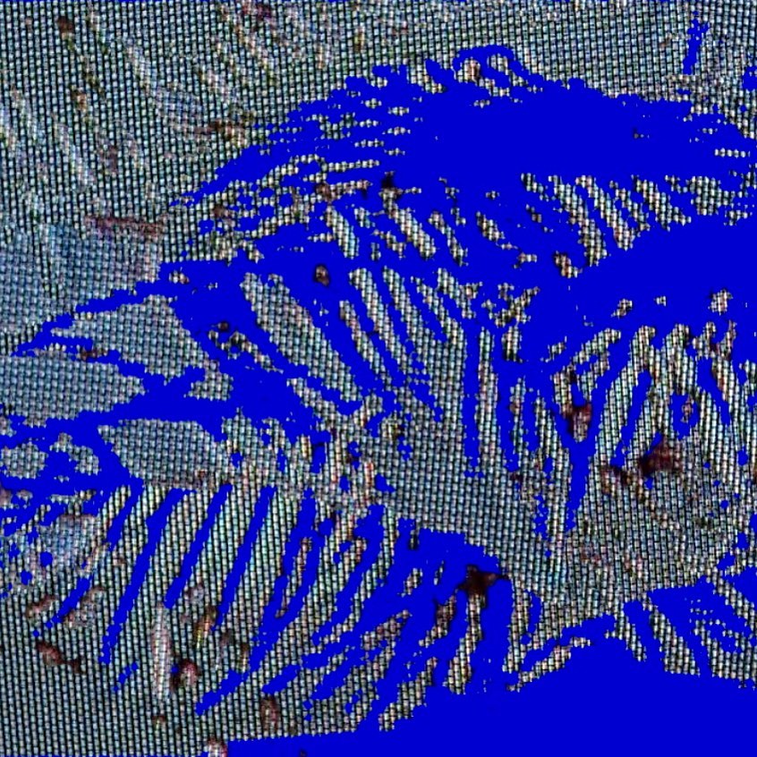 New, glitchy, chromalicious image making perhaps for a future music video...