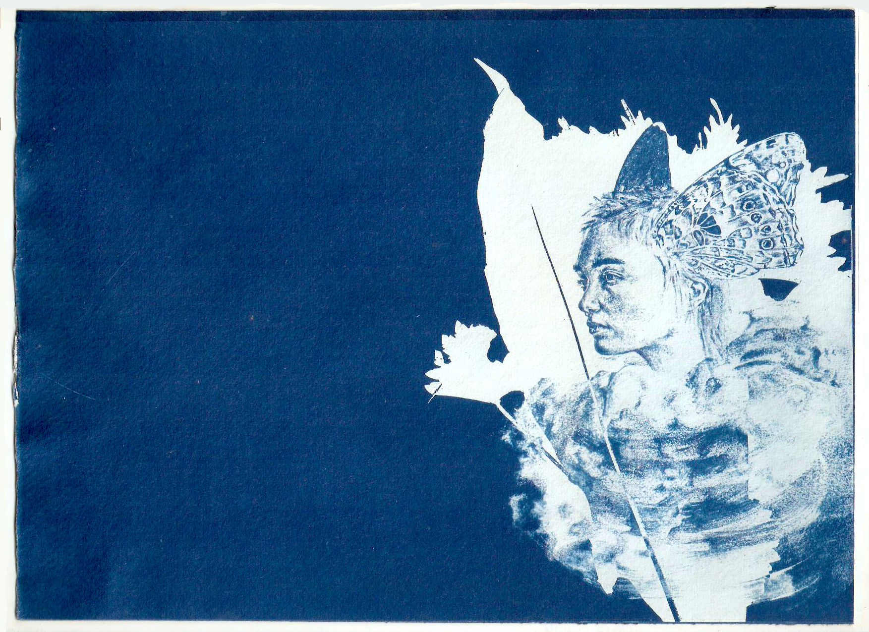   &lsquo;Butterfly Head&rsquo;, cyanotype on recycled cotton rag paper, 320 gsm, 21 x 28 cm
