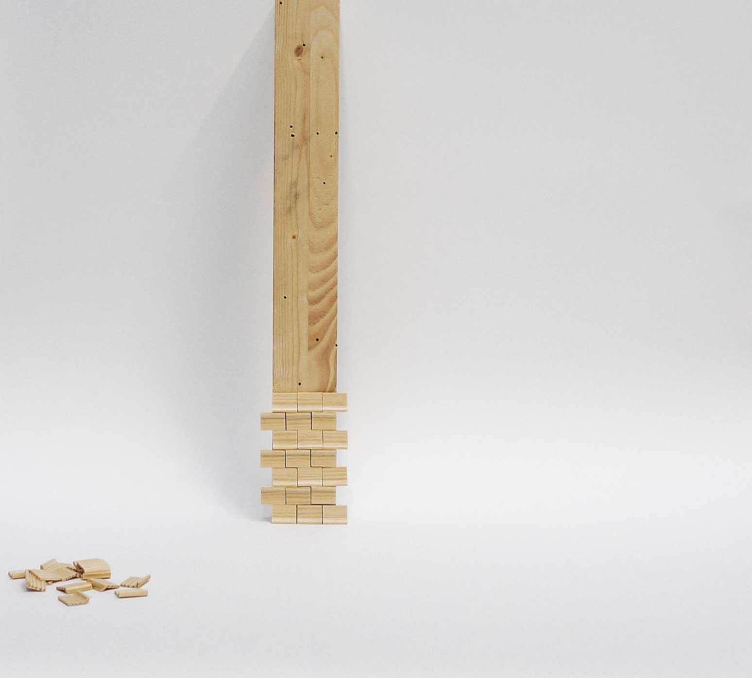 Video "Taxonomy Reassembly"