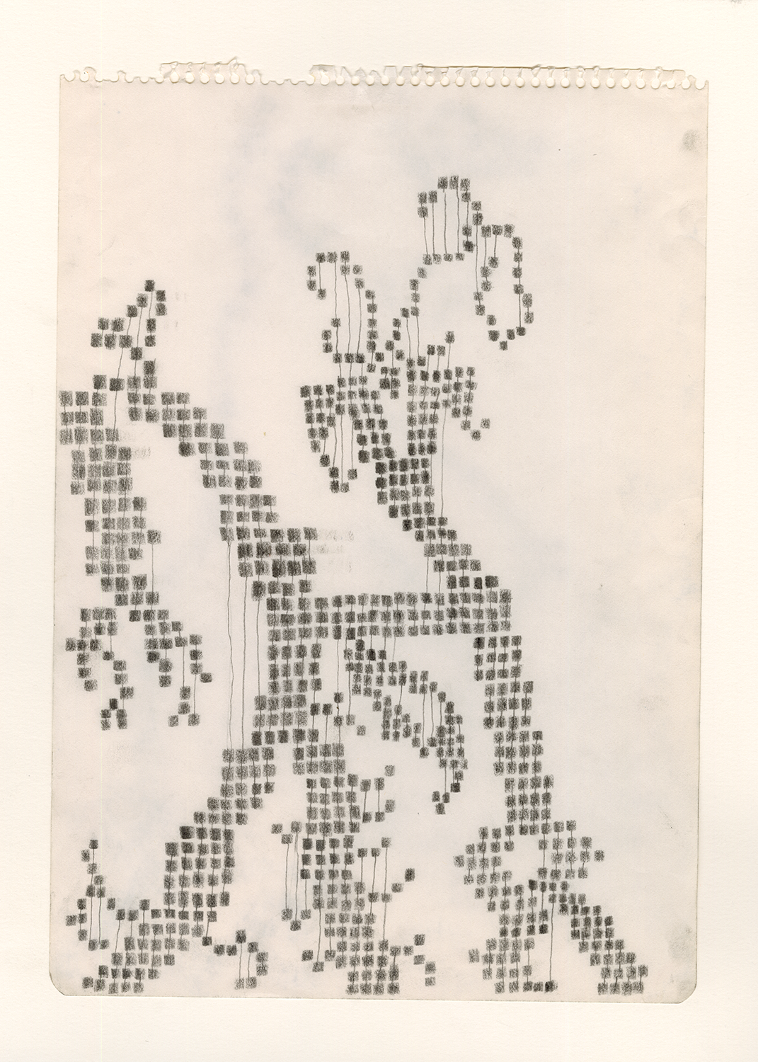 "If the Flower is Red-Pink with Lip Crested in 2 Ridges and Roots Large," 2024, Graphite on Paper, 12” x 8.5”