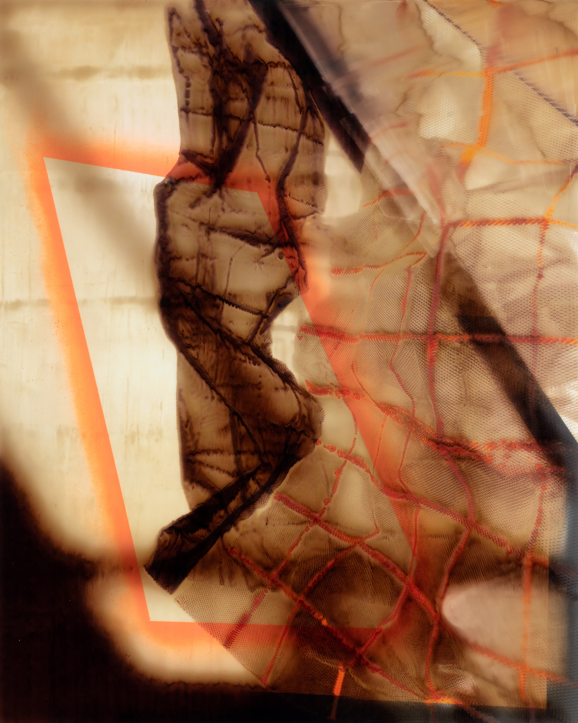 Magnifier, latex and ink on Dura-lar, 40" x 54", 2020.
