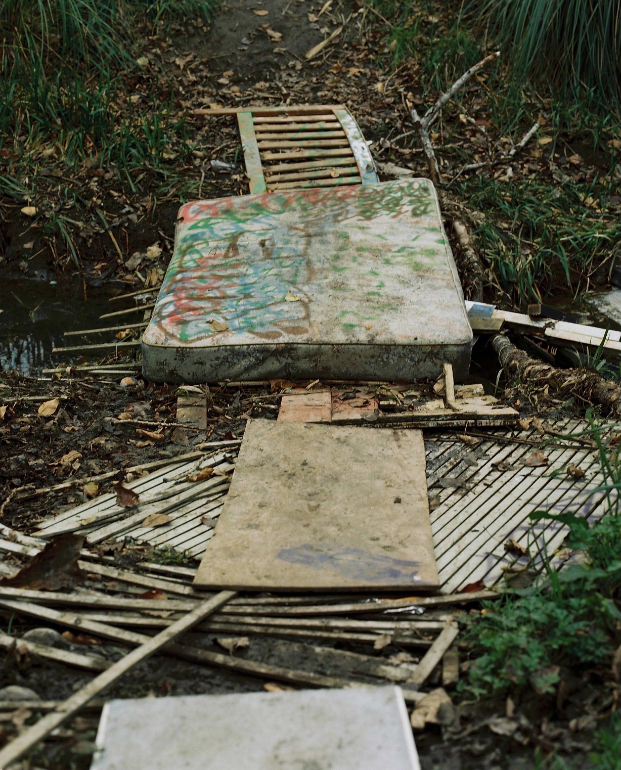 Marinich Dr short cut, 2018